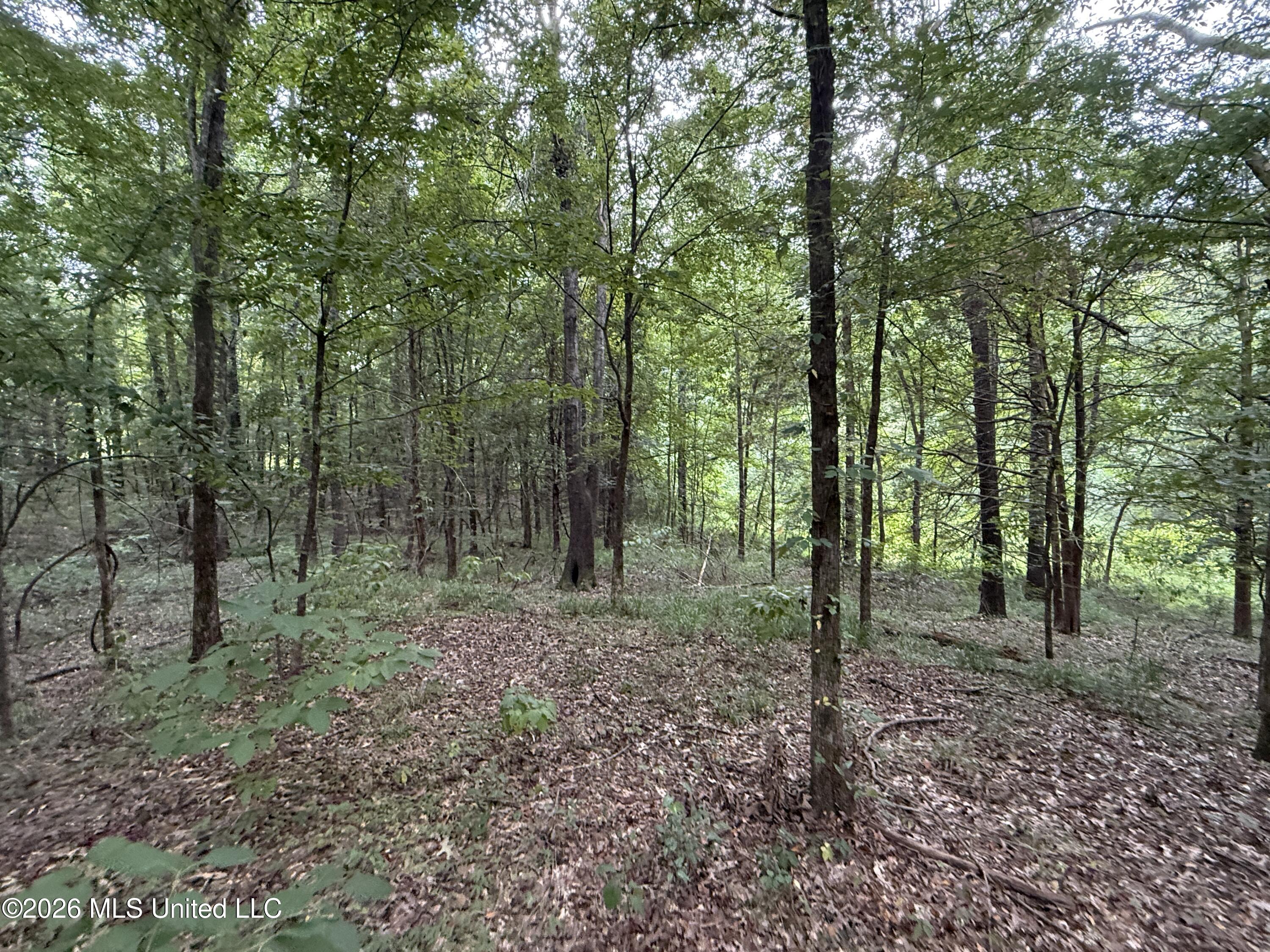 Ebenezer-coxburg Road Property Photo 27