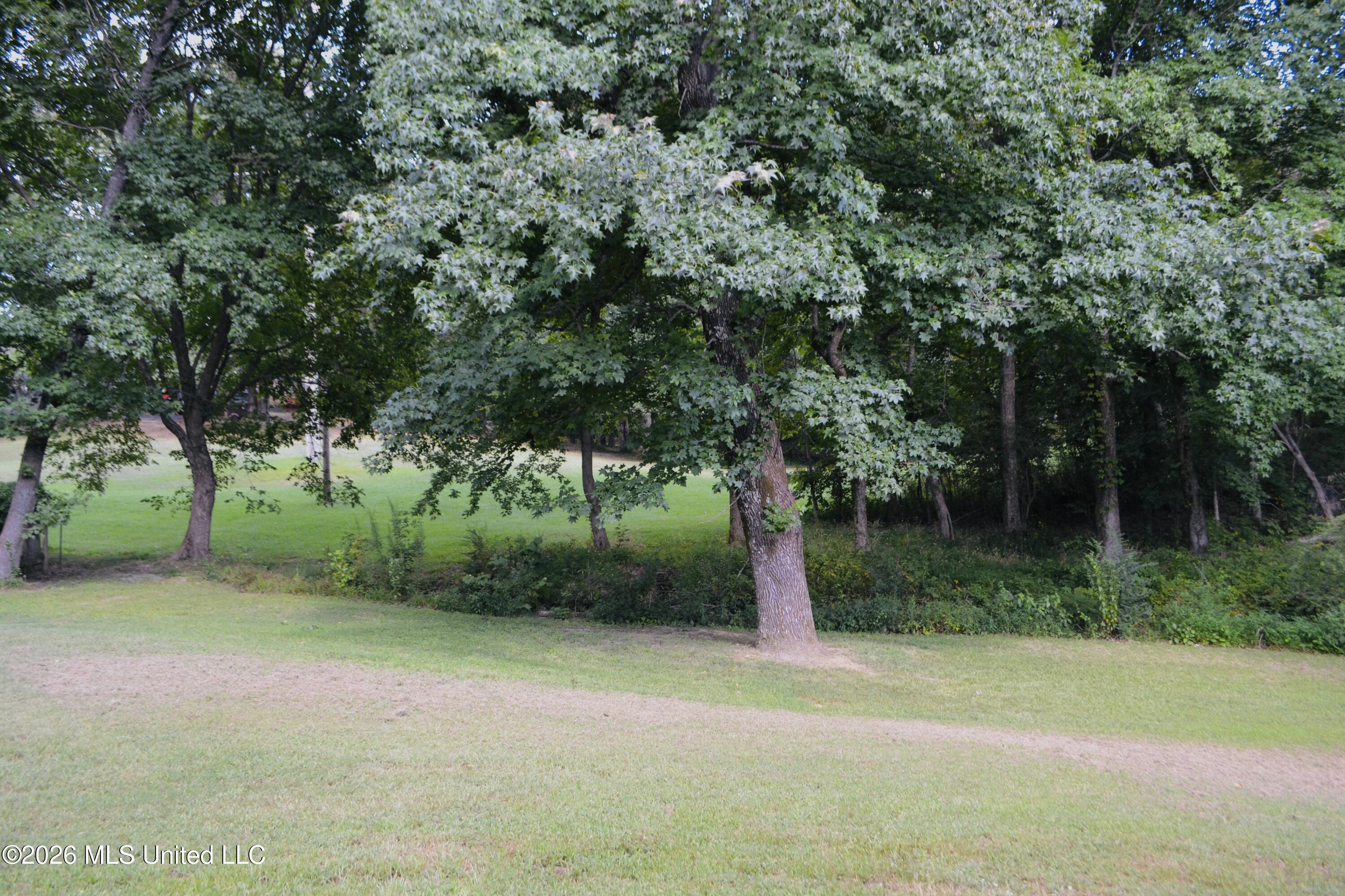 3292 Big Ben Property Photo 23