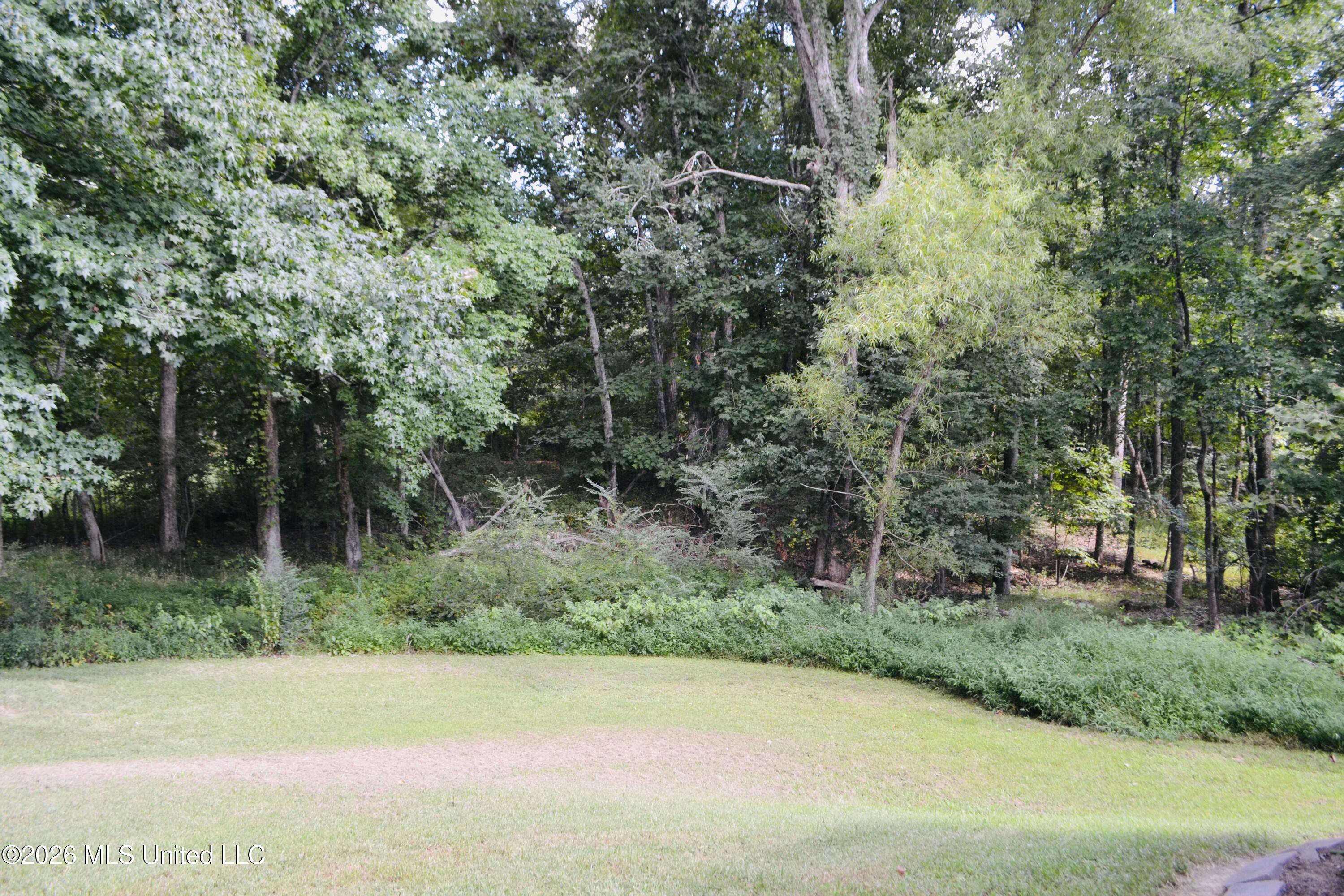 3292 Big Ben Property Photo 25