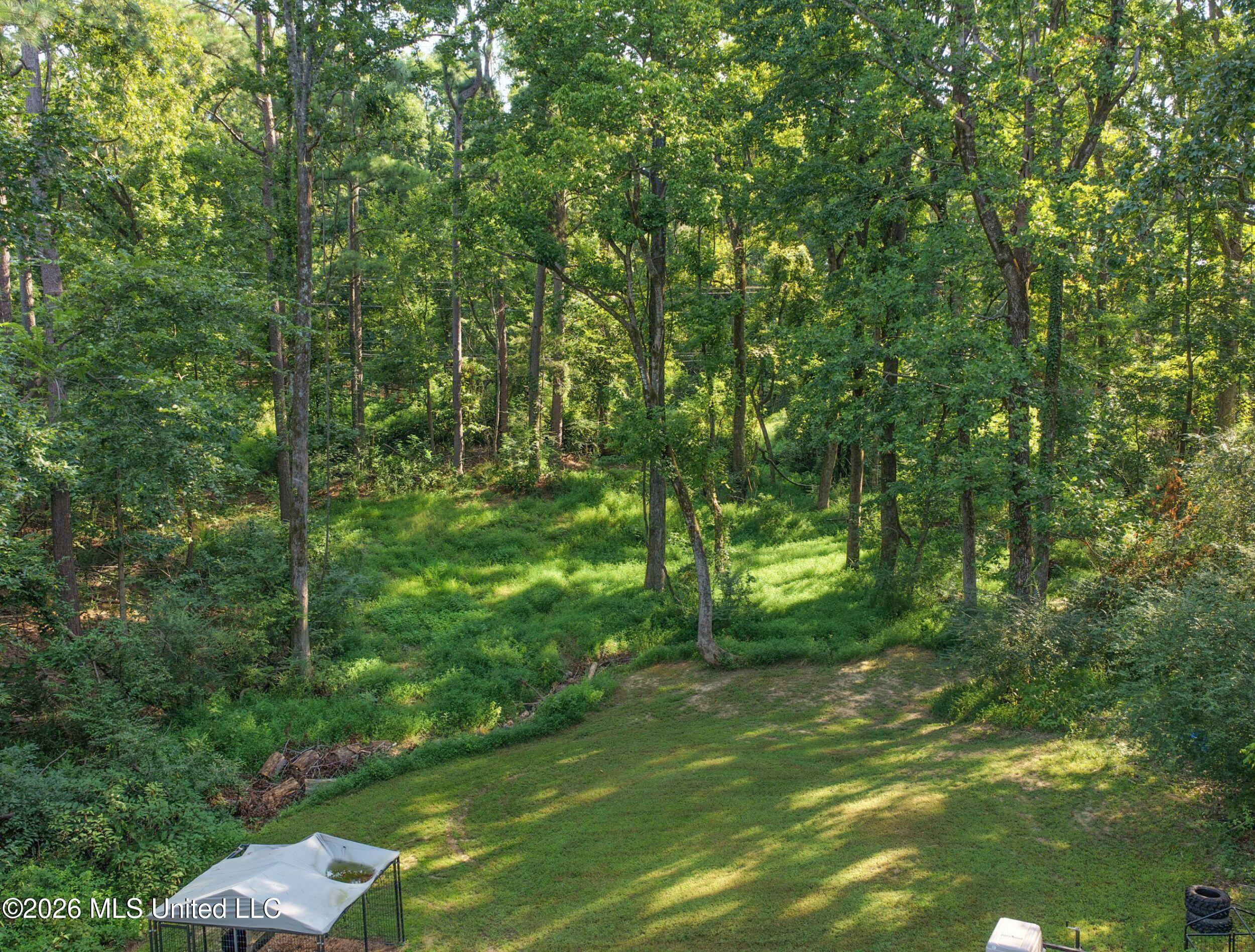 103 Turtle Creek Drive Property Photo 21
