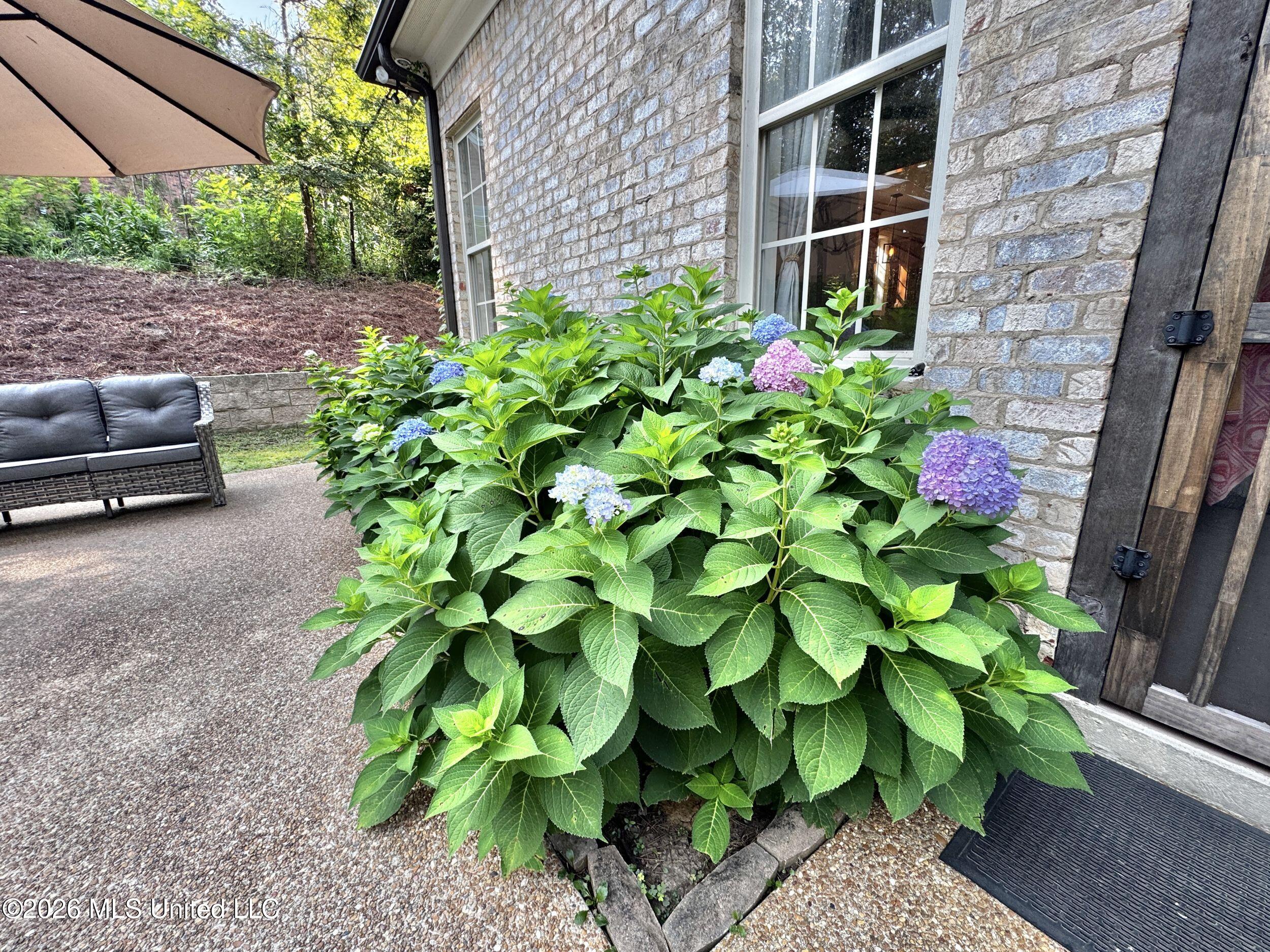103 Turtle Creek Drive Property Photo 33