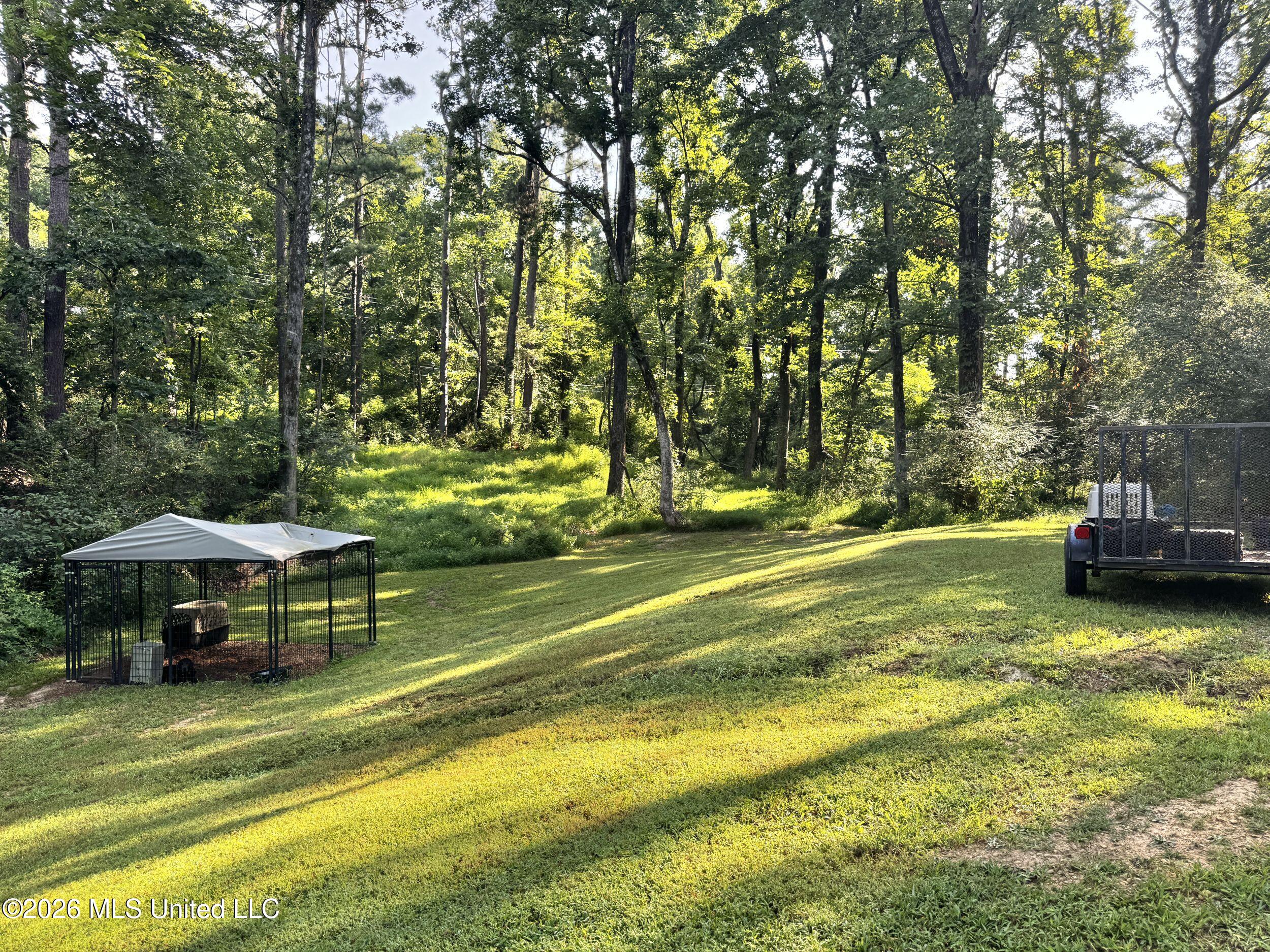 103 Turtle Creek Drive Property Photo 43