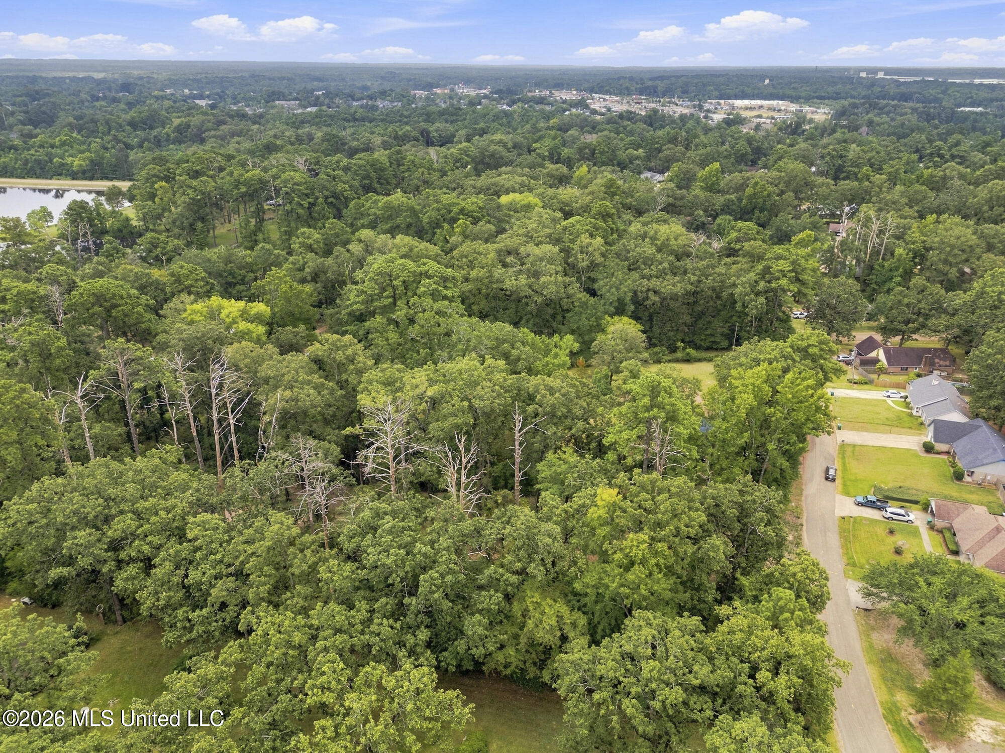 Lake Dockery Road Property Photo 11