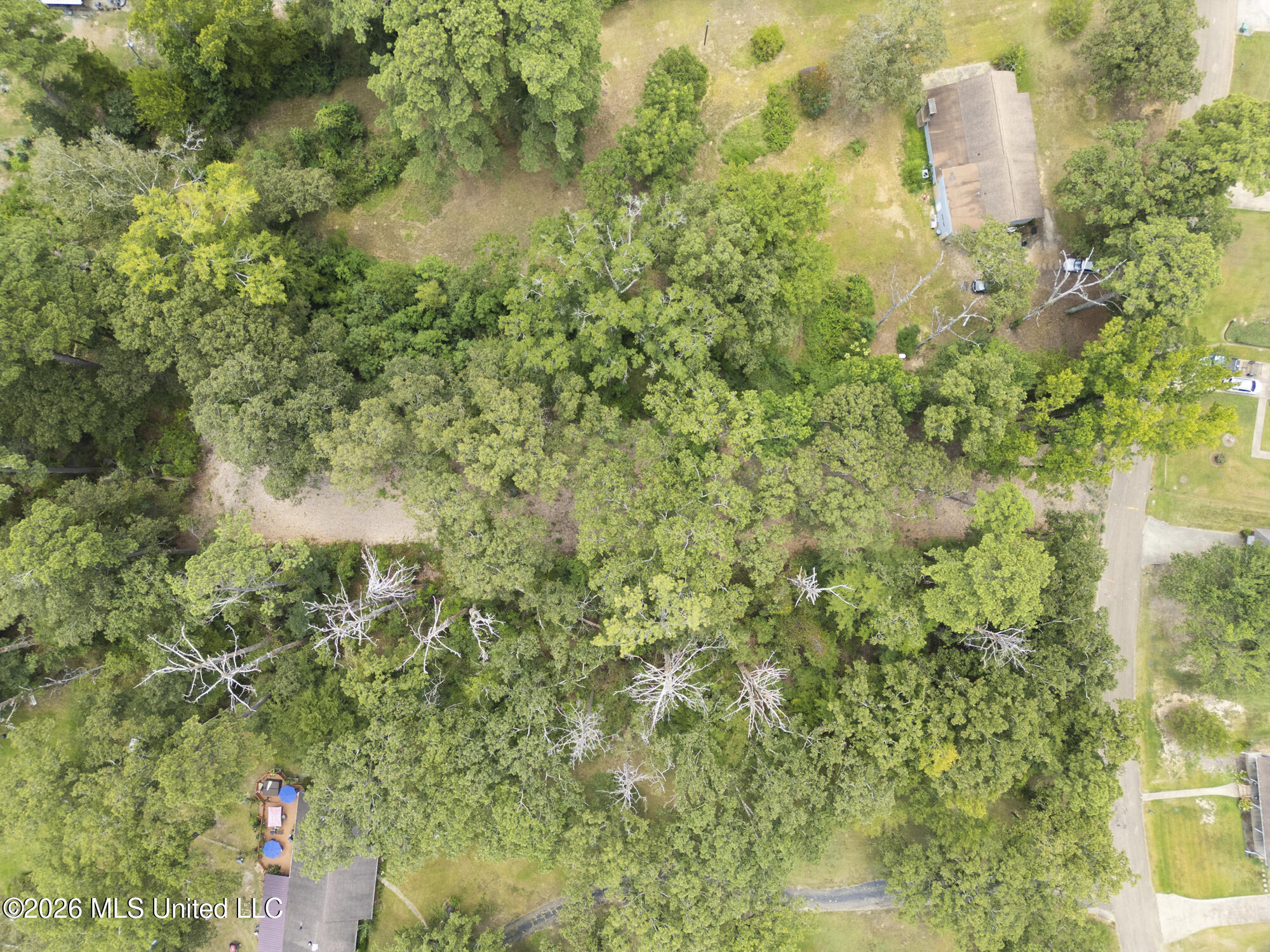 Lake Dockery Road Property Photo 12