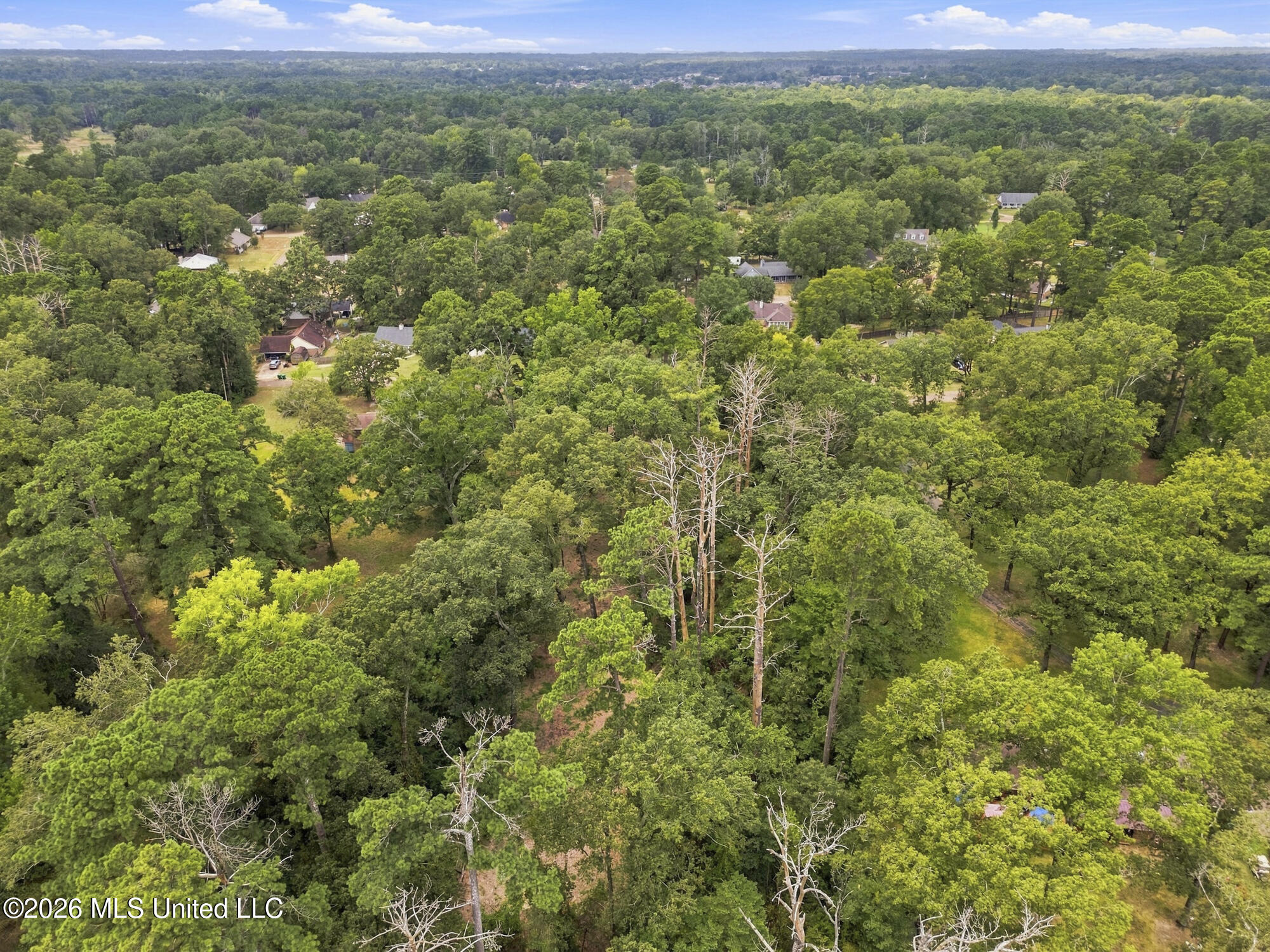 Lake Dockery Road Property Photo 13