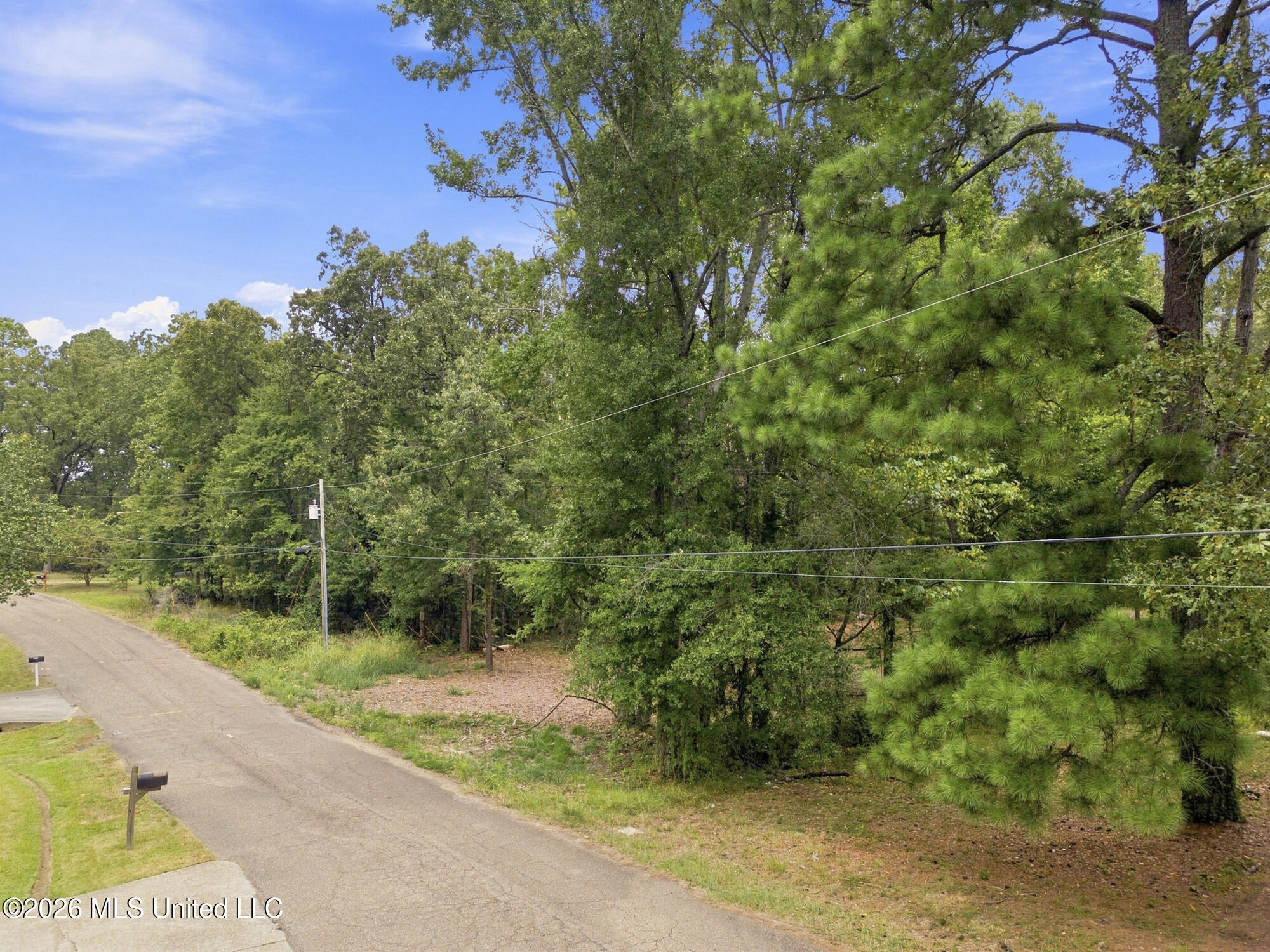 Lake Dockery Road Property Photo 14