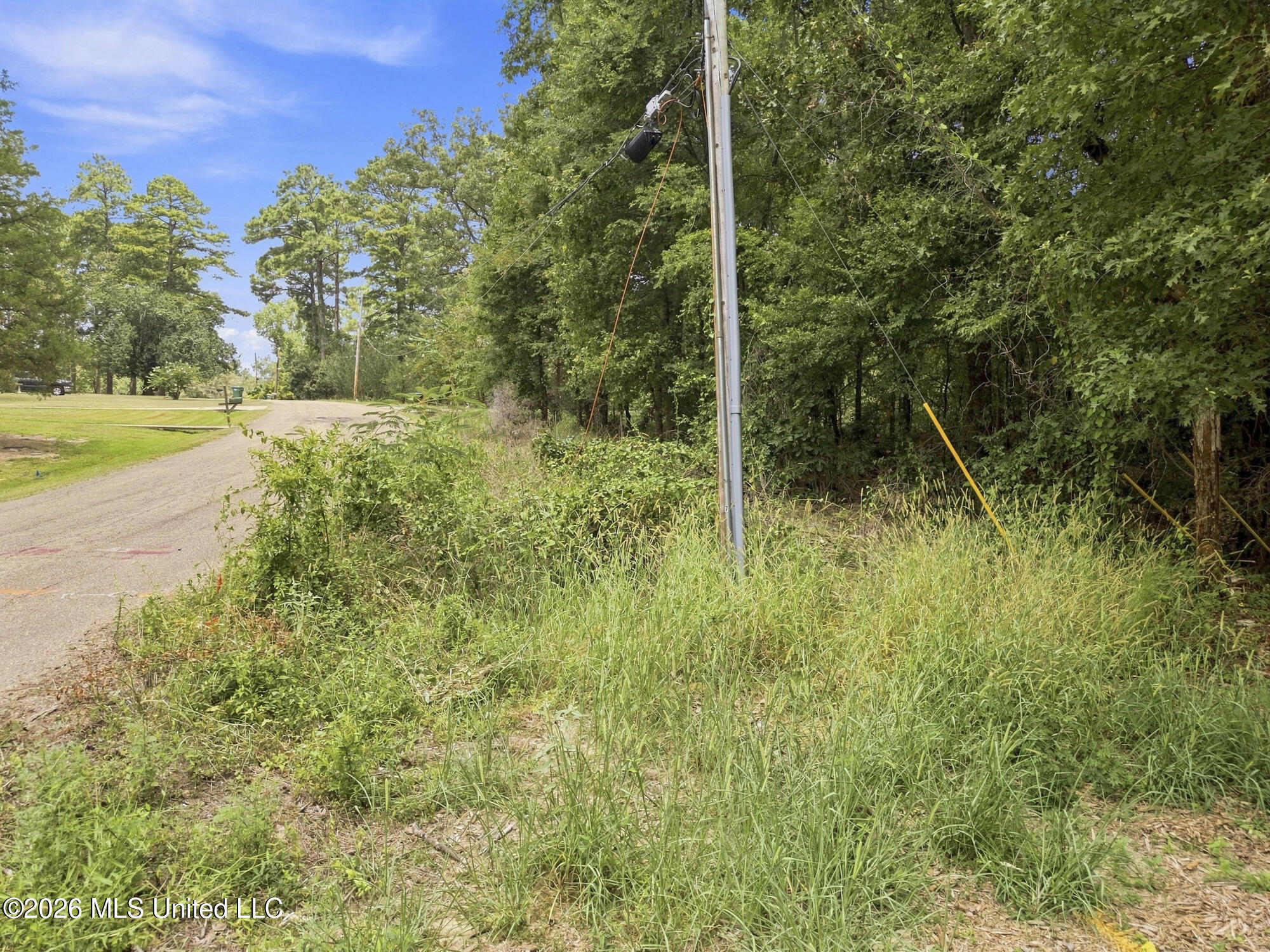 Lake Dockery Road Property Photo 16