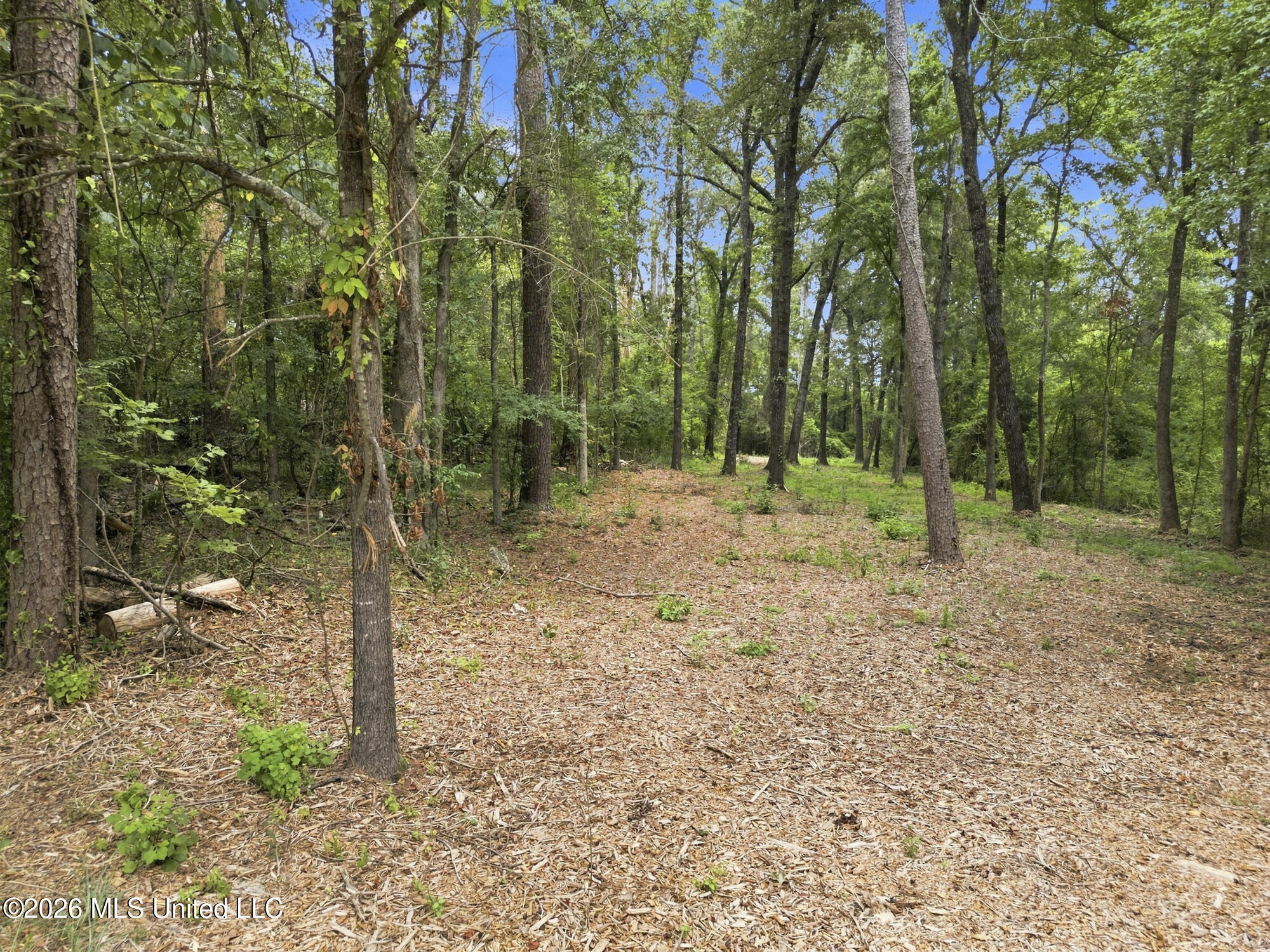 Lake Dockery Road Property Photo 17