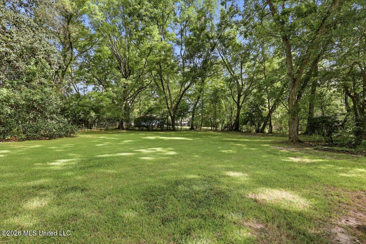 3851 Old Canton Road Property Photo 33