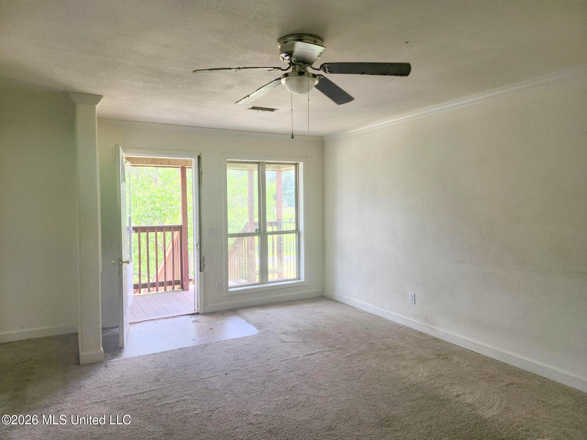 319 Hiern Avenue Property Photo 6
