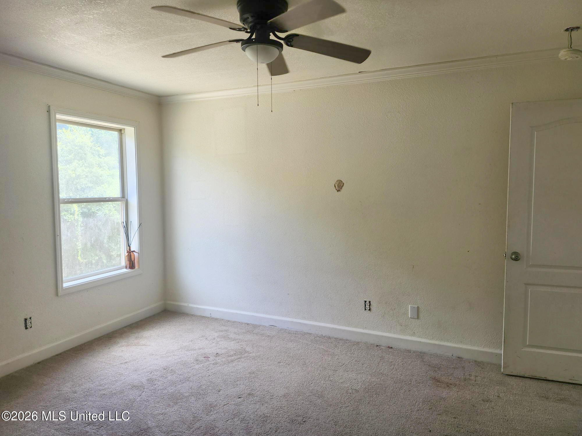 319 Hiern Avenue Property Photo 11