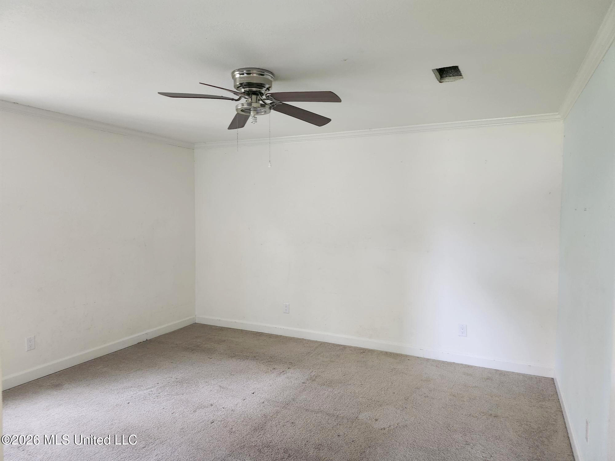 319 Hiern Avenue Property Photo 17