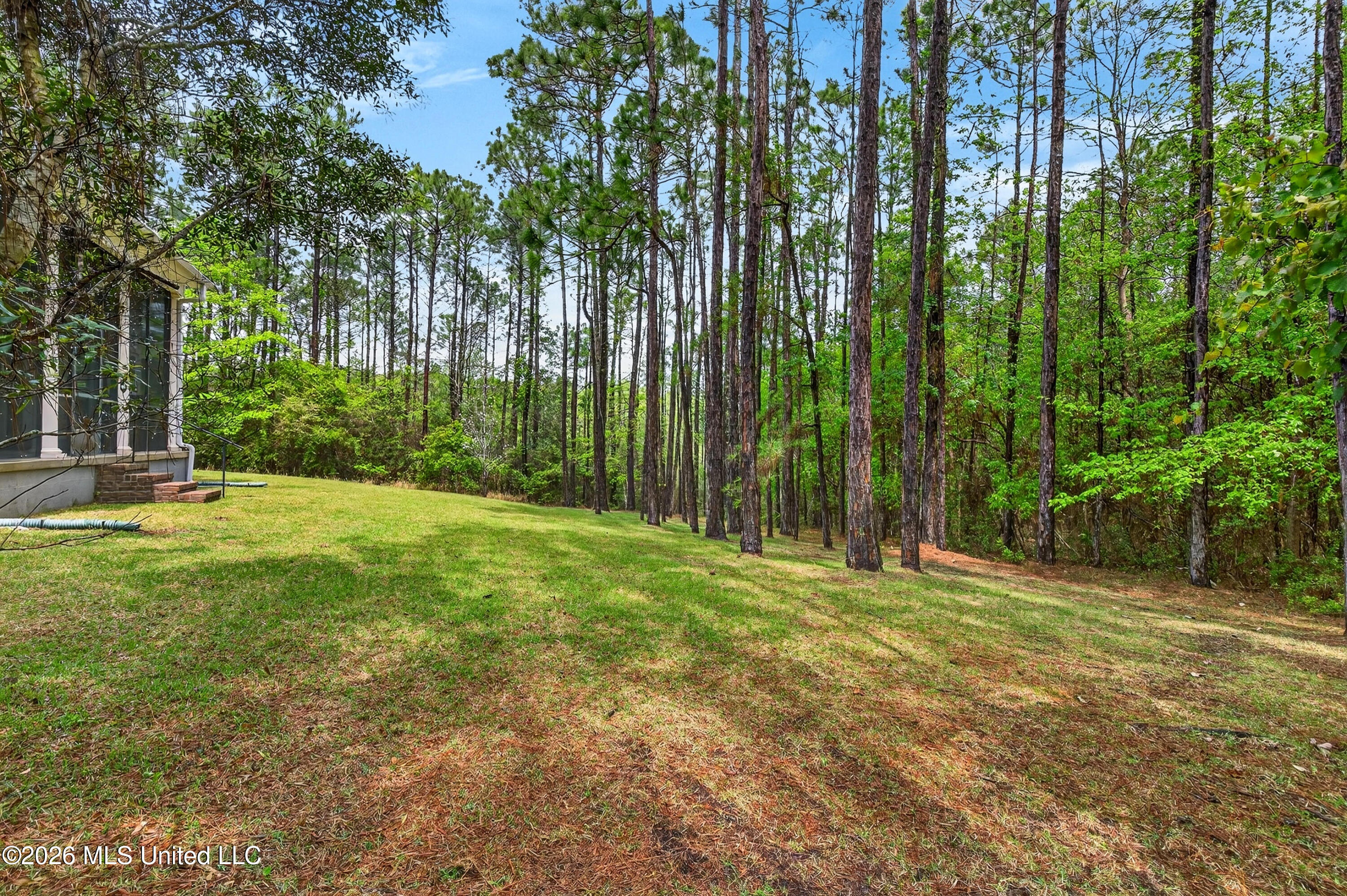 2904 Royal Run Road Property Photo 52