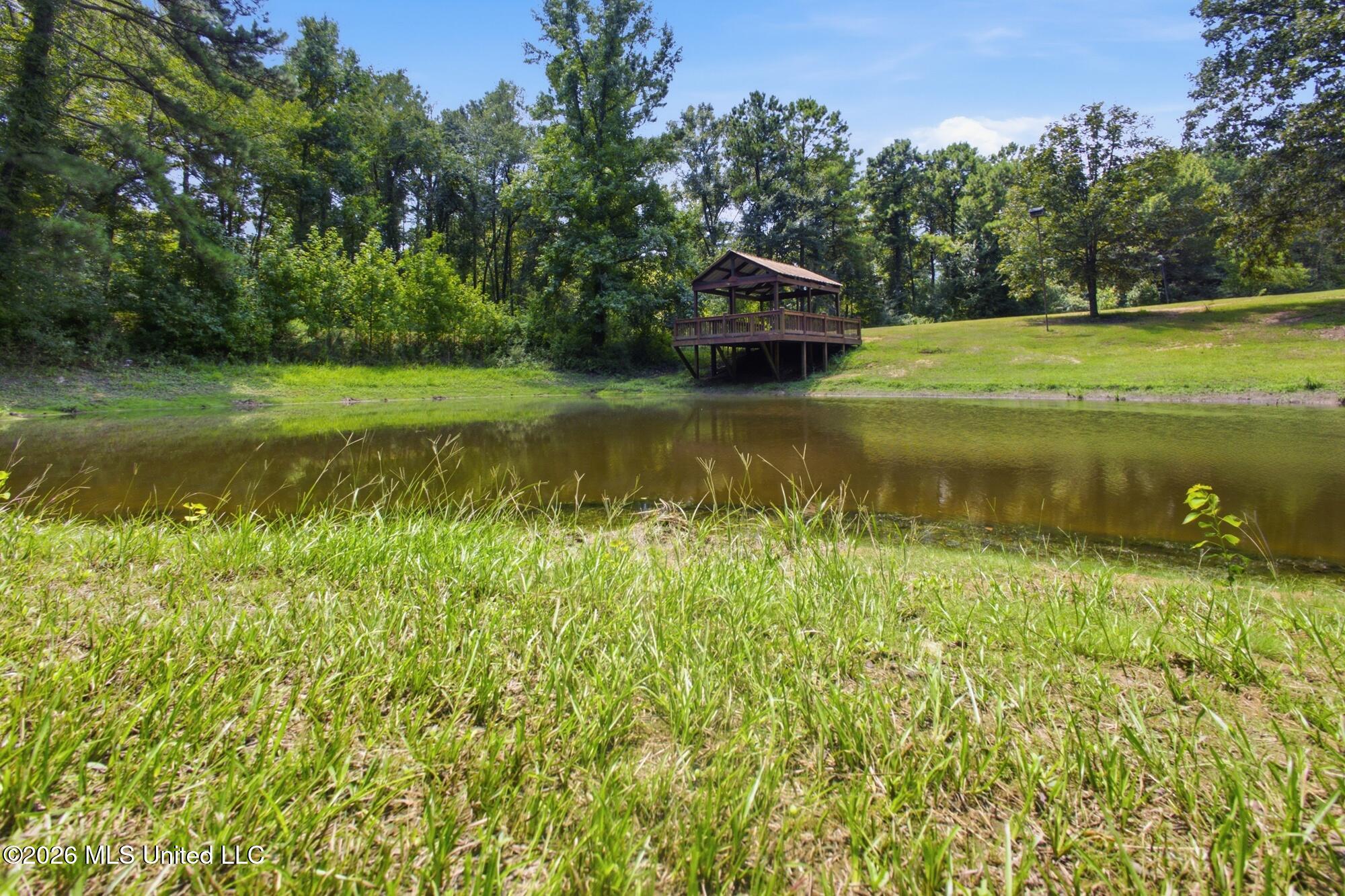 107a Brock Road Property Photo 37