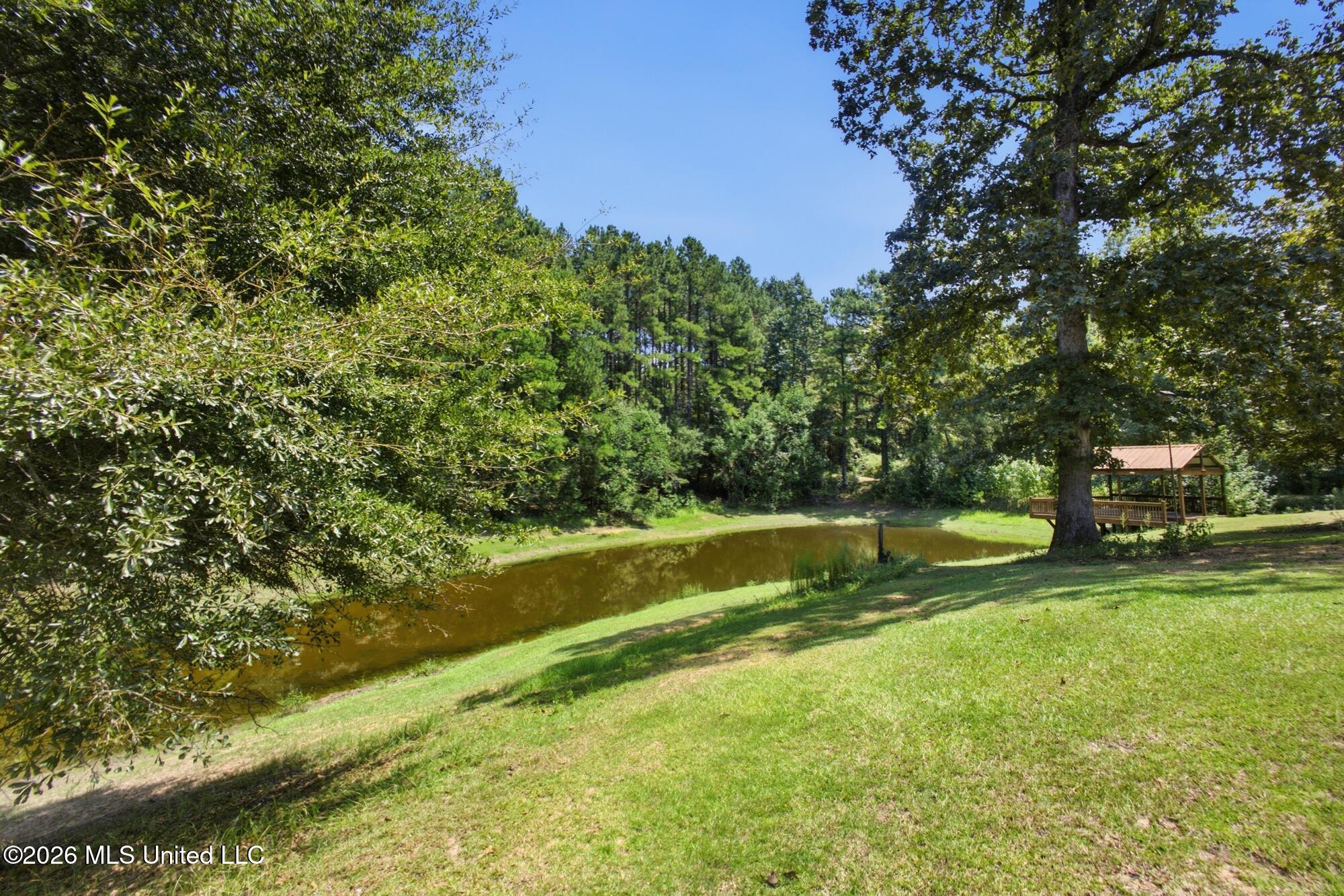 107a Brock Road Property Photo 45