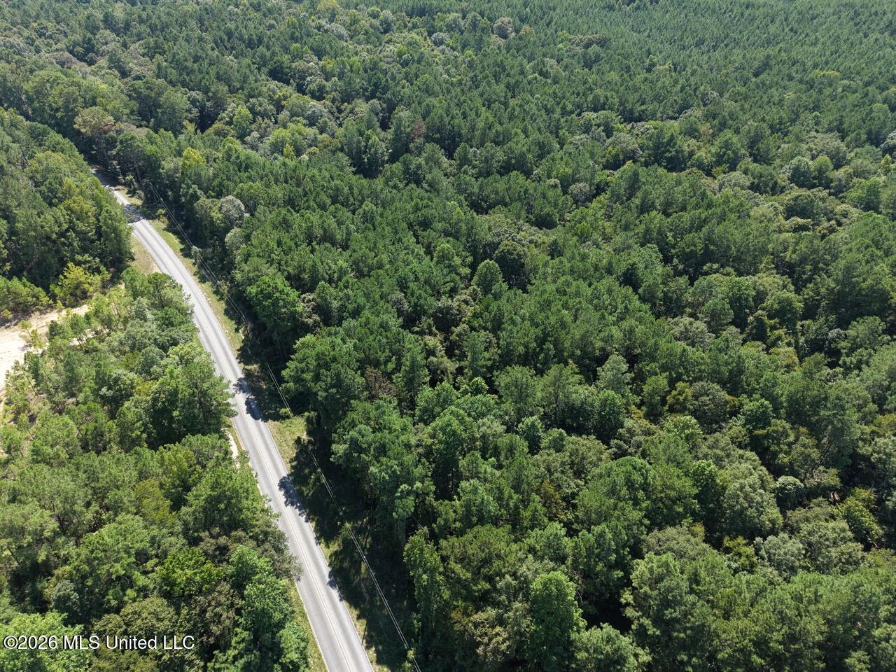 1669 Burt Jordan Road Property Photo 4