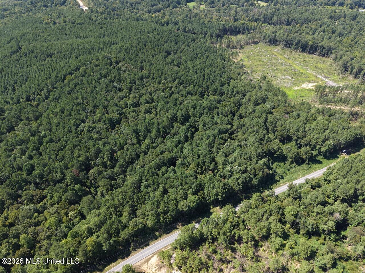 1669 Burt Jordan Road Property Photo 7