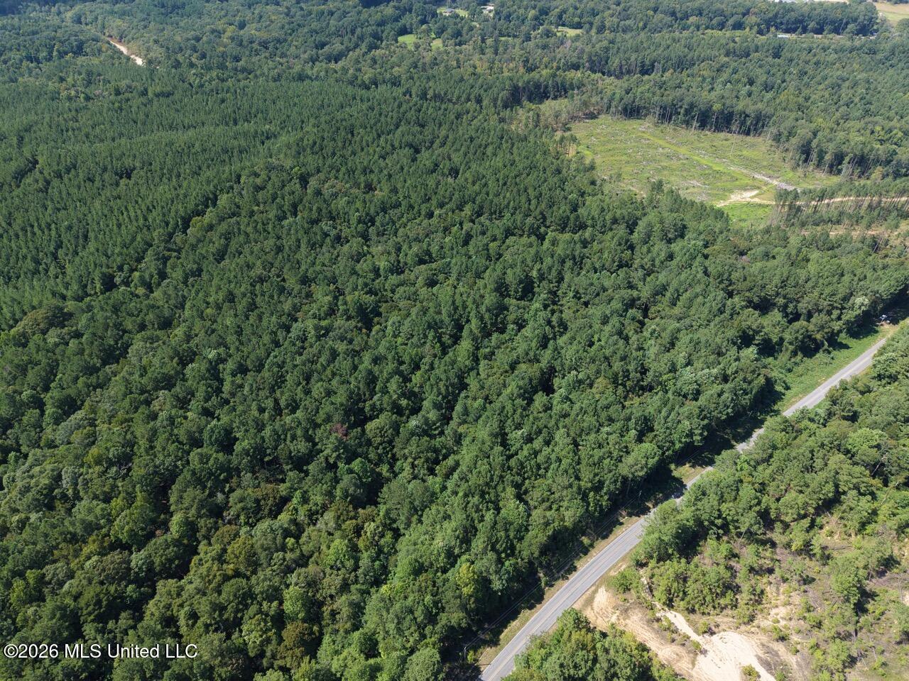 1669 Burt Jordan Road Property Photo 8