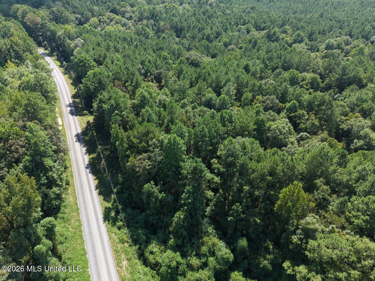 1669 Burt Jordan Road Property Photo 9