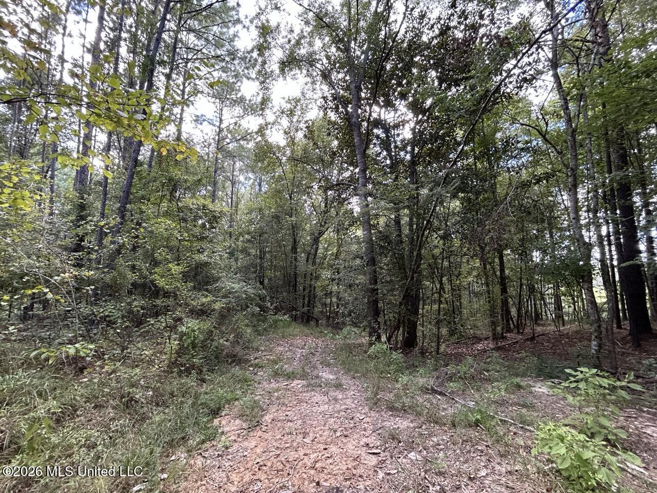 1669 Burt Jordan Road Property Photo 11