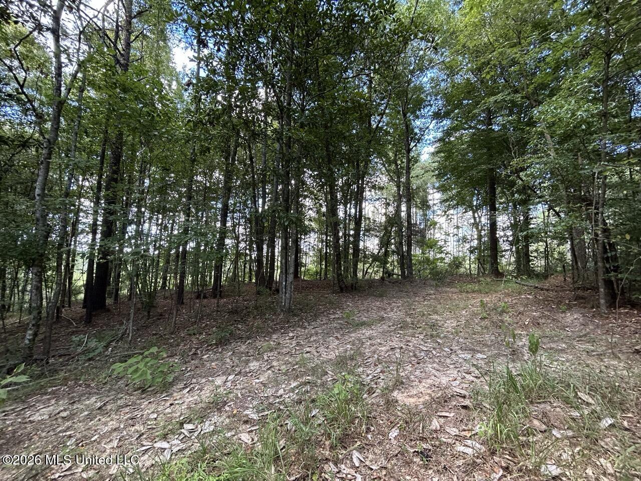 1669 Burt Jordan Road Property Photo 12