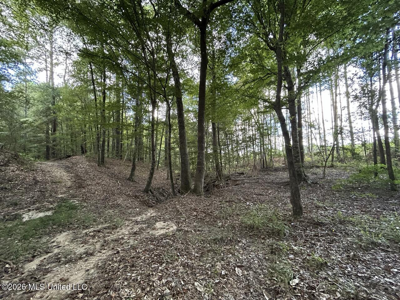1669 Burt Jordan Road Property Photo 13