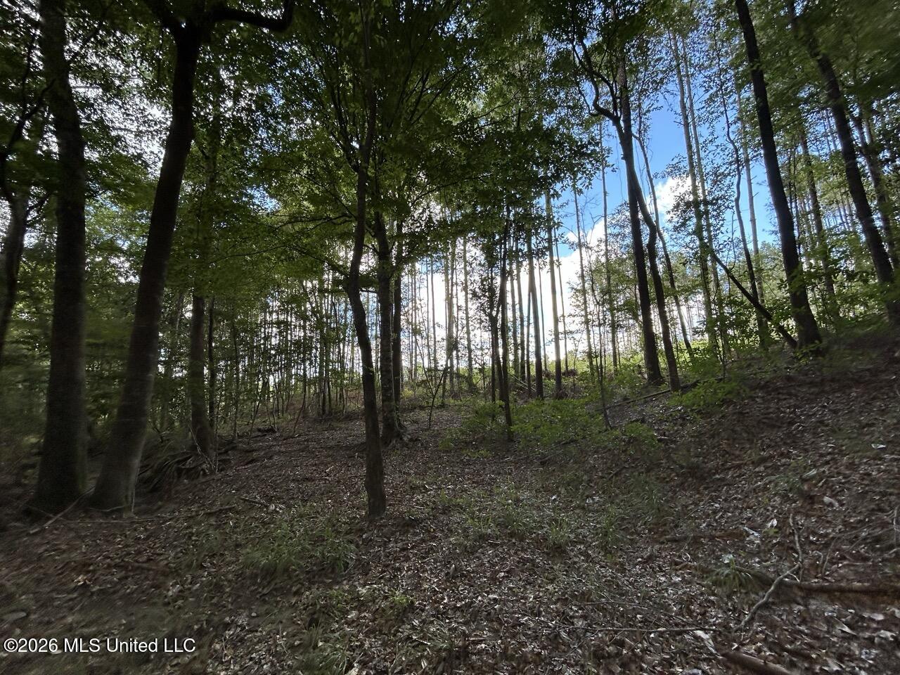 1669 Burt Jordan Road Property Photo 14