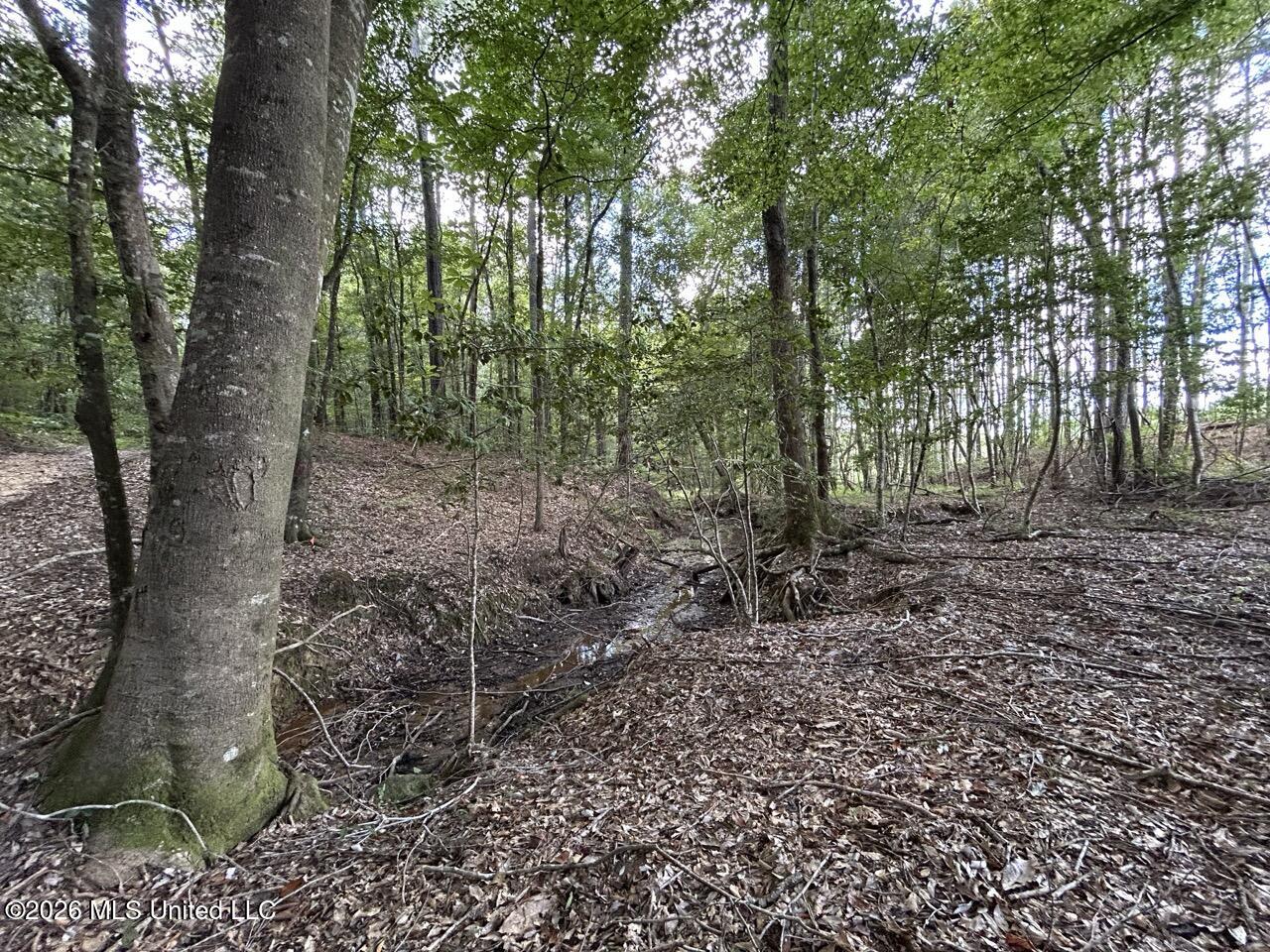 1669 Burt Jordan Road Property Photo 15