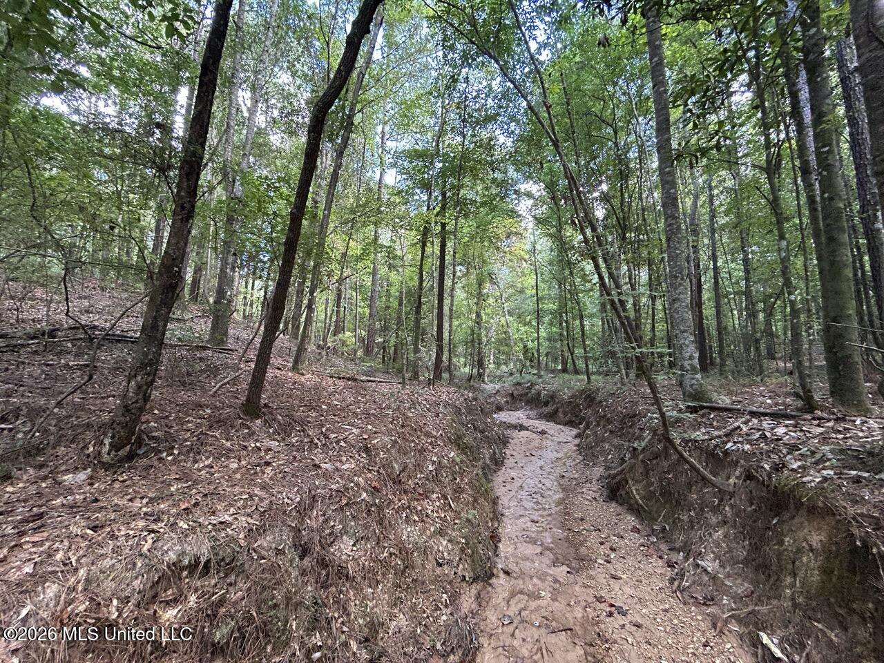 1669 Burt Jordan Road Property Photo 17