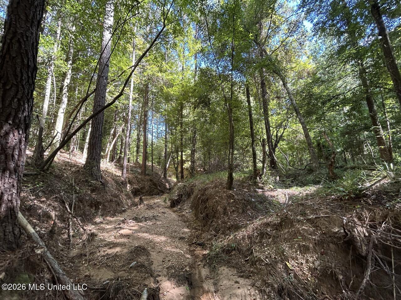 1669 Burt Jordan Road Property Photo 19