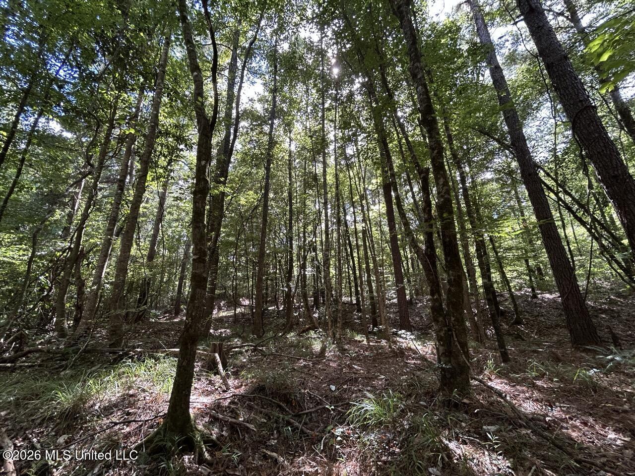 1669 Burt Jordan Road Property Photo 20