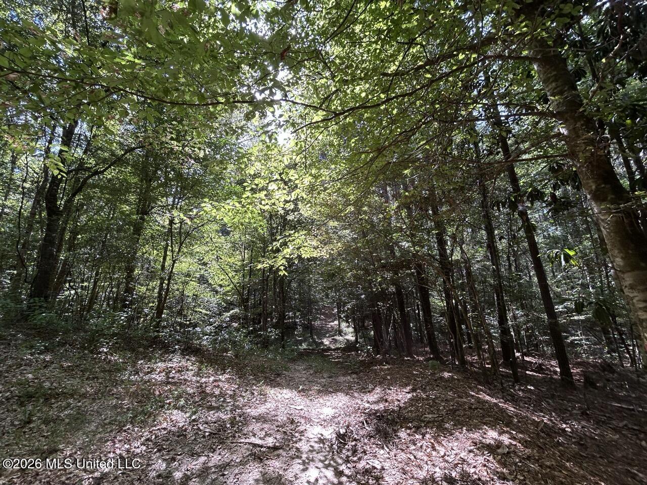1669 Burt Jordan Road Property Photo 21