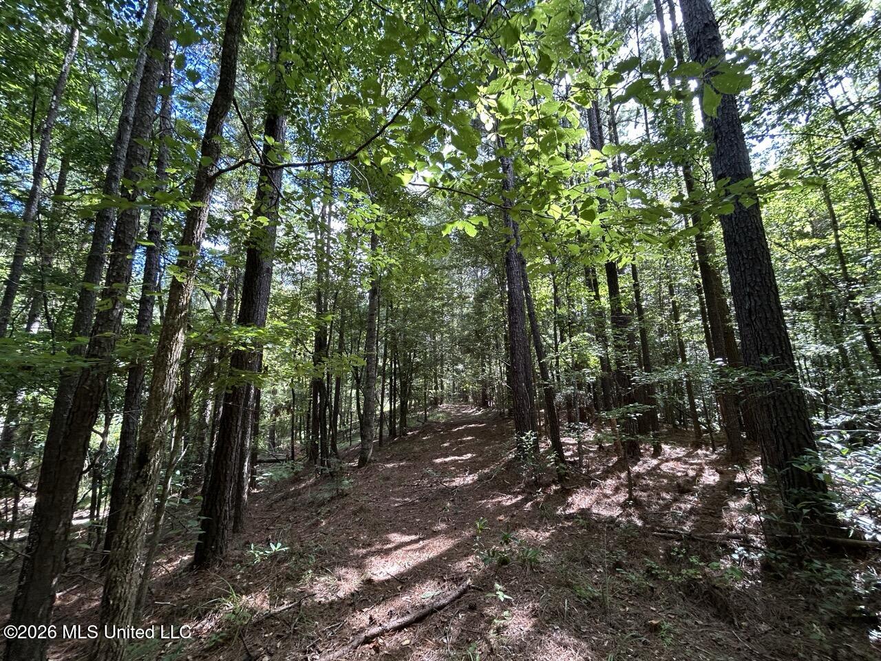 1669 Burt Jordan Road Property Photo 22