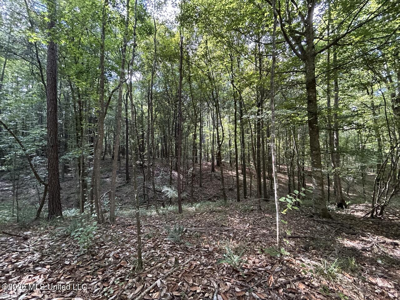 1669 Burt Jordan Road Property Photo 23
