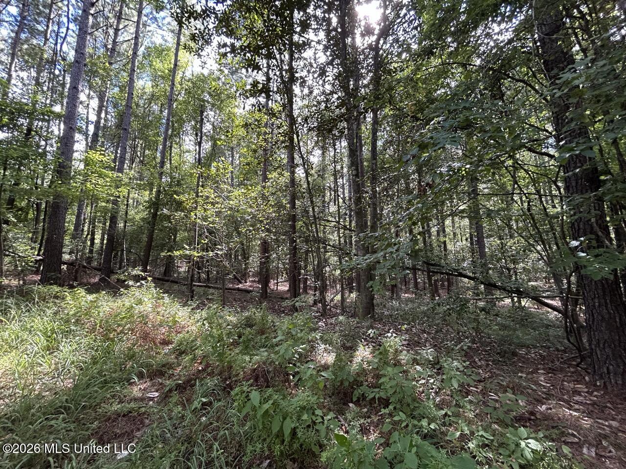 1669 Burt Jordan Road Property Photo 24