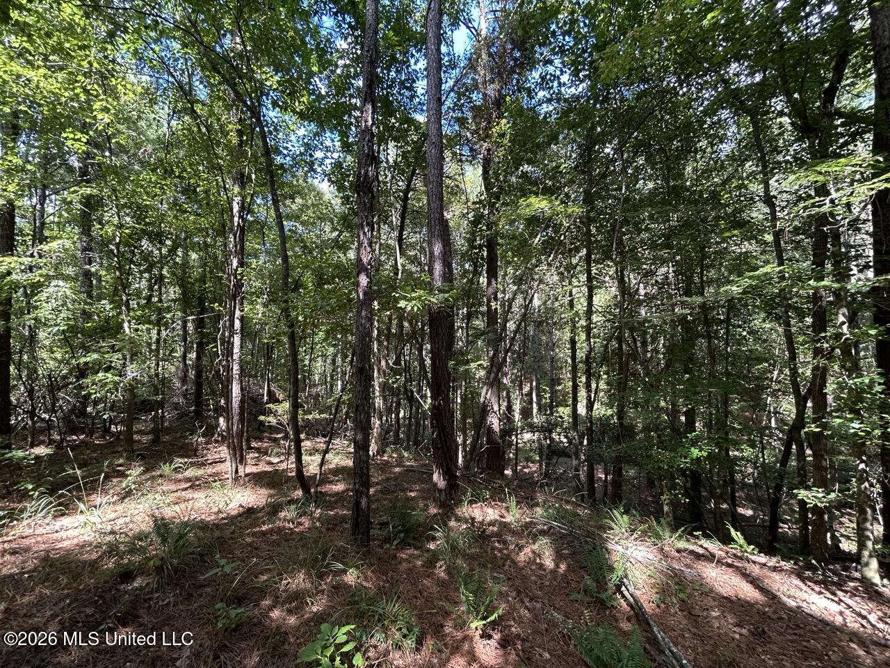 1669 Burt Jordan Road Property Photo 25