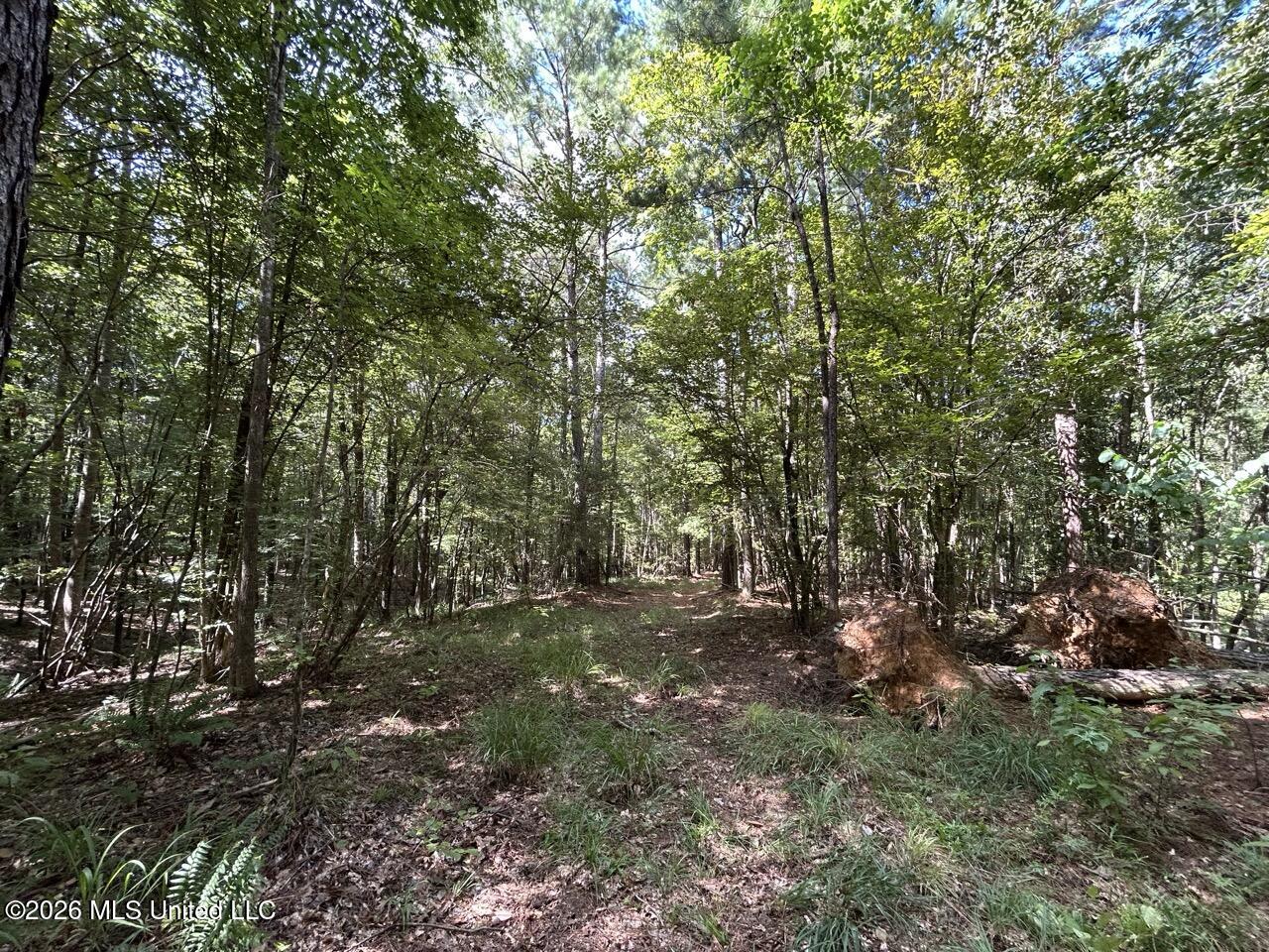 1669 Burt Jordan Road Property Photo 26