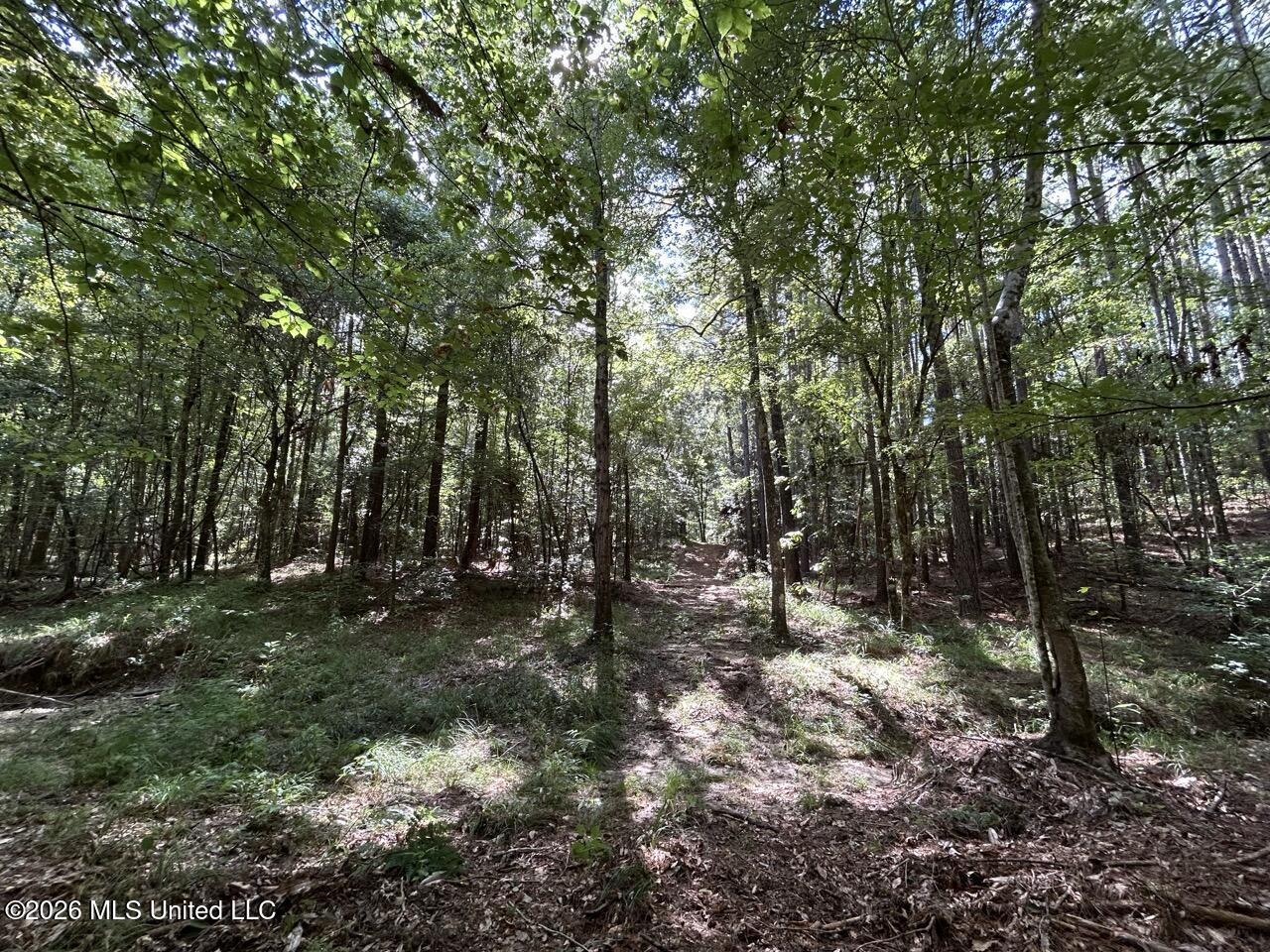 1669 Burt Jordan Road Property Photo 27