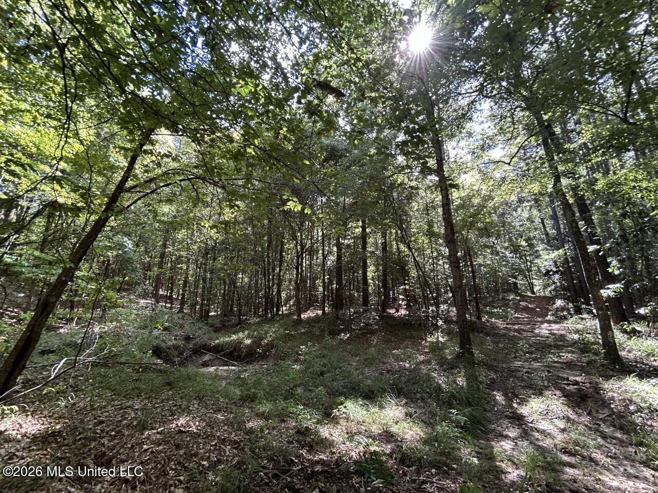 1669 Burt Jordan Road Property Photo 28
