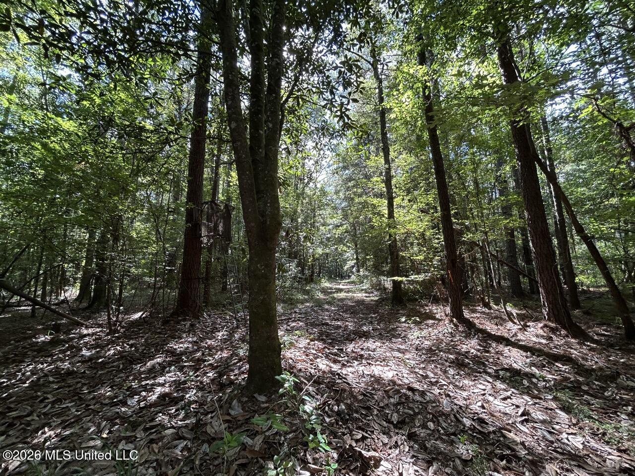 1669 Burt Jordan Road Property Photo 29