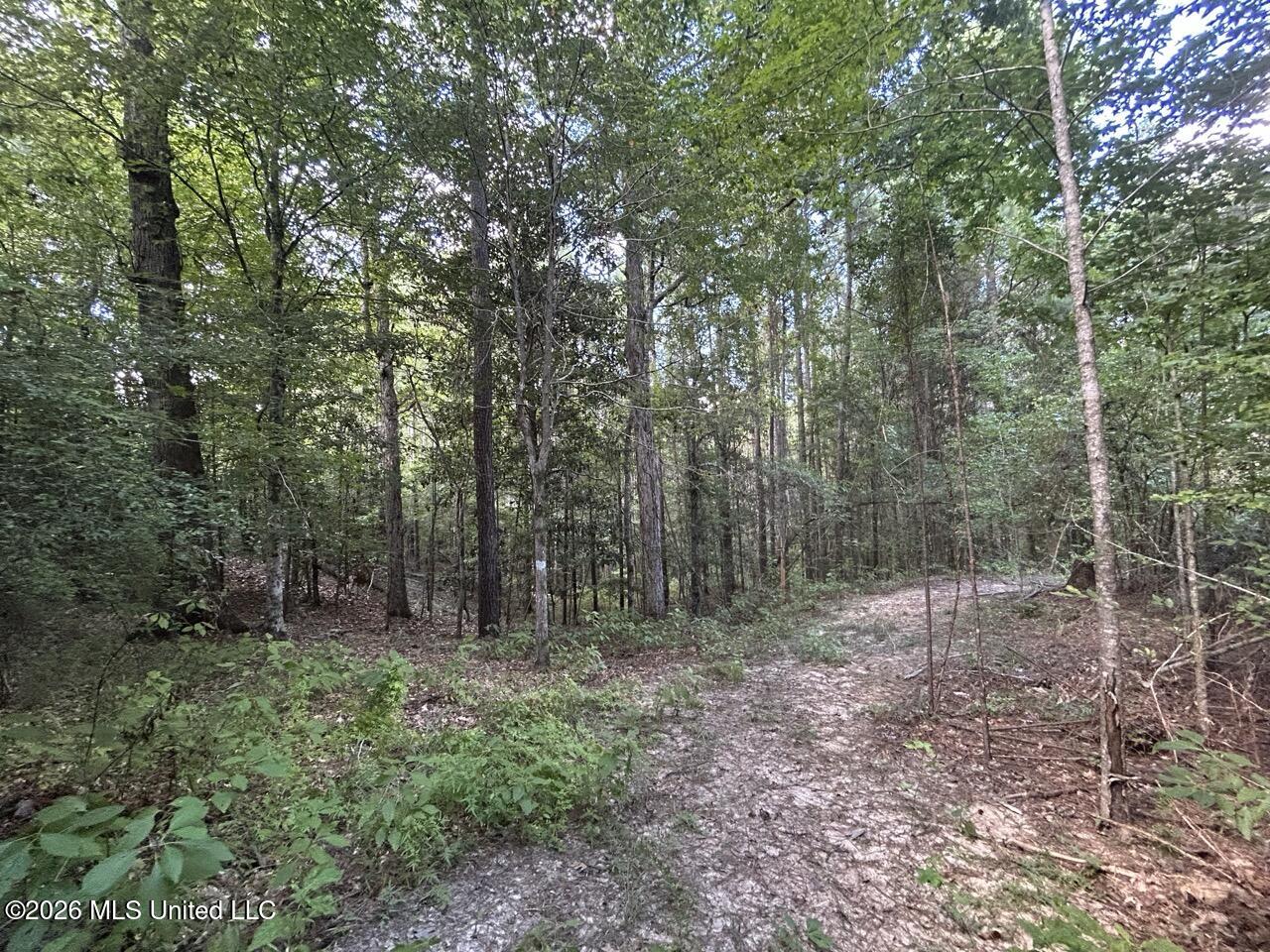 1669 Burt Jordan Road Property Photo 31