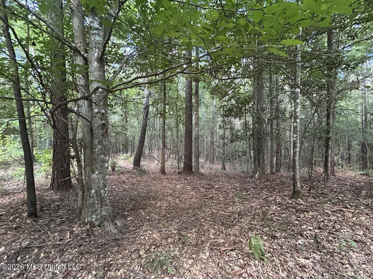 1669 Burt Jordan Road Property Photo 32
