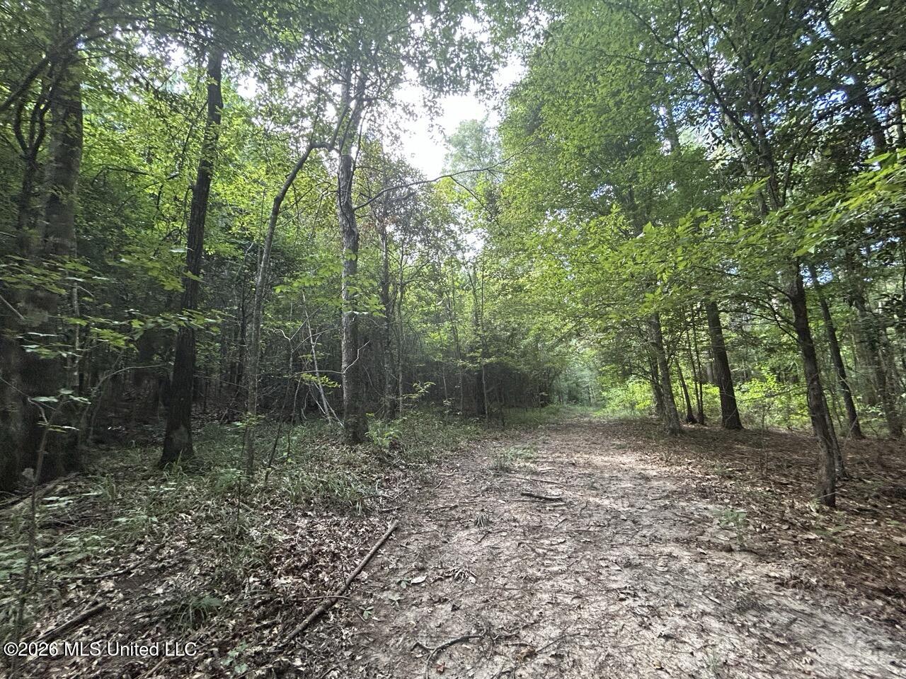 1669 Burt Jordan Road Property Photo 33