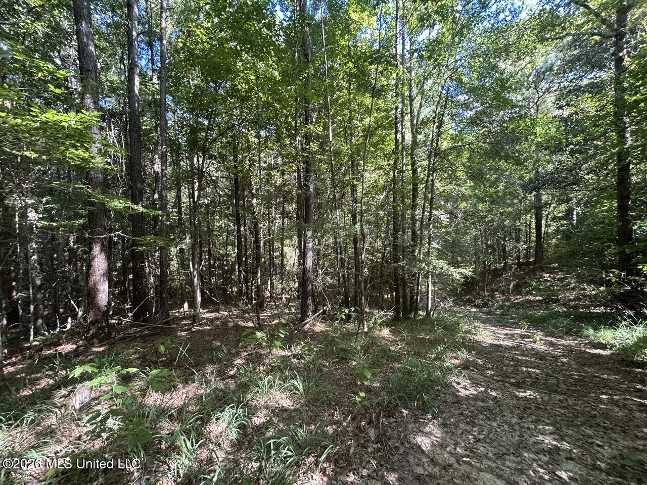 1669 Burt Jordan Road Property Photo 34