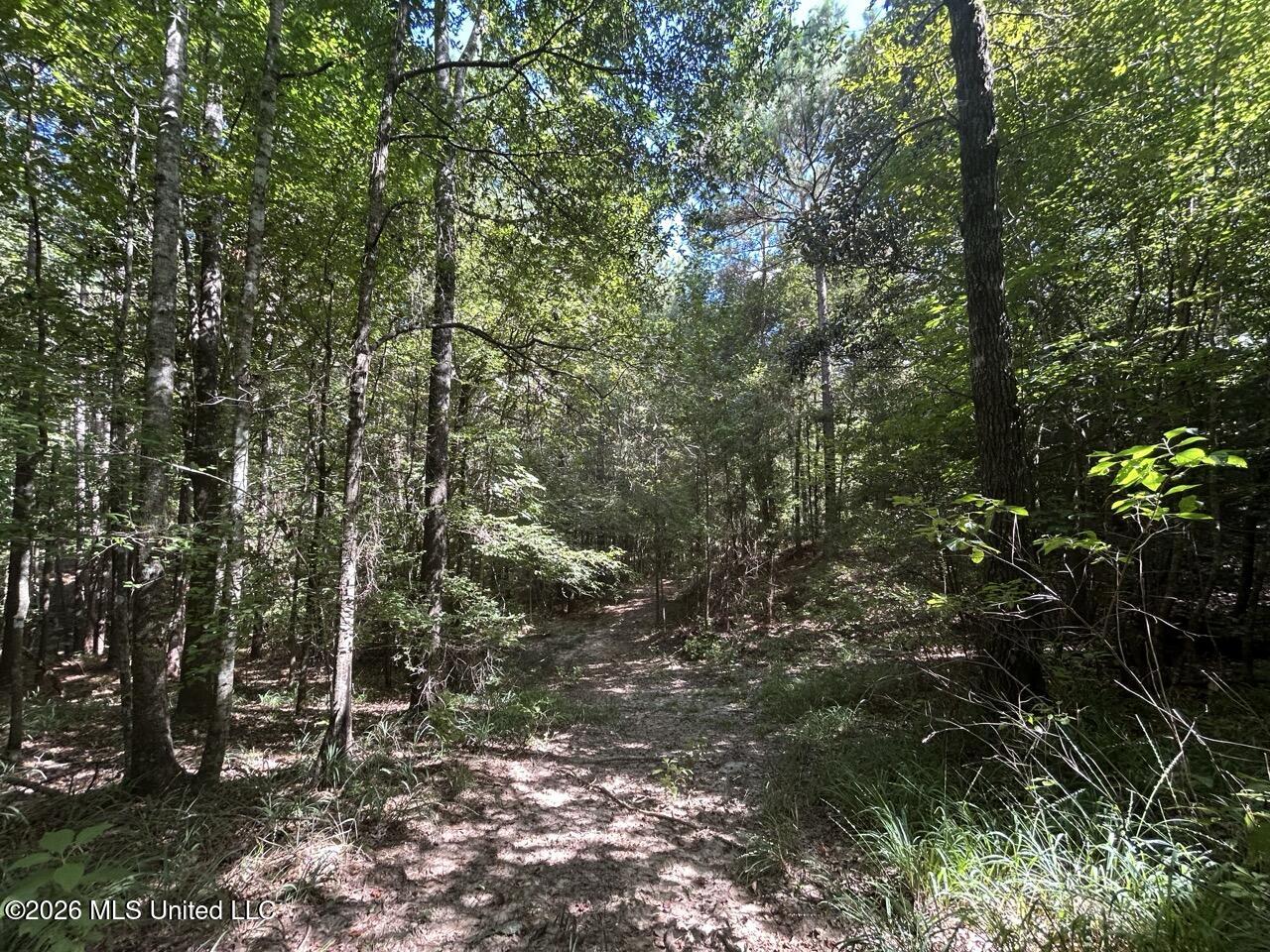 1669 Burt Jordan Road Property Photo 35