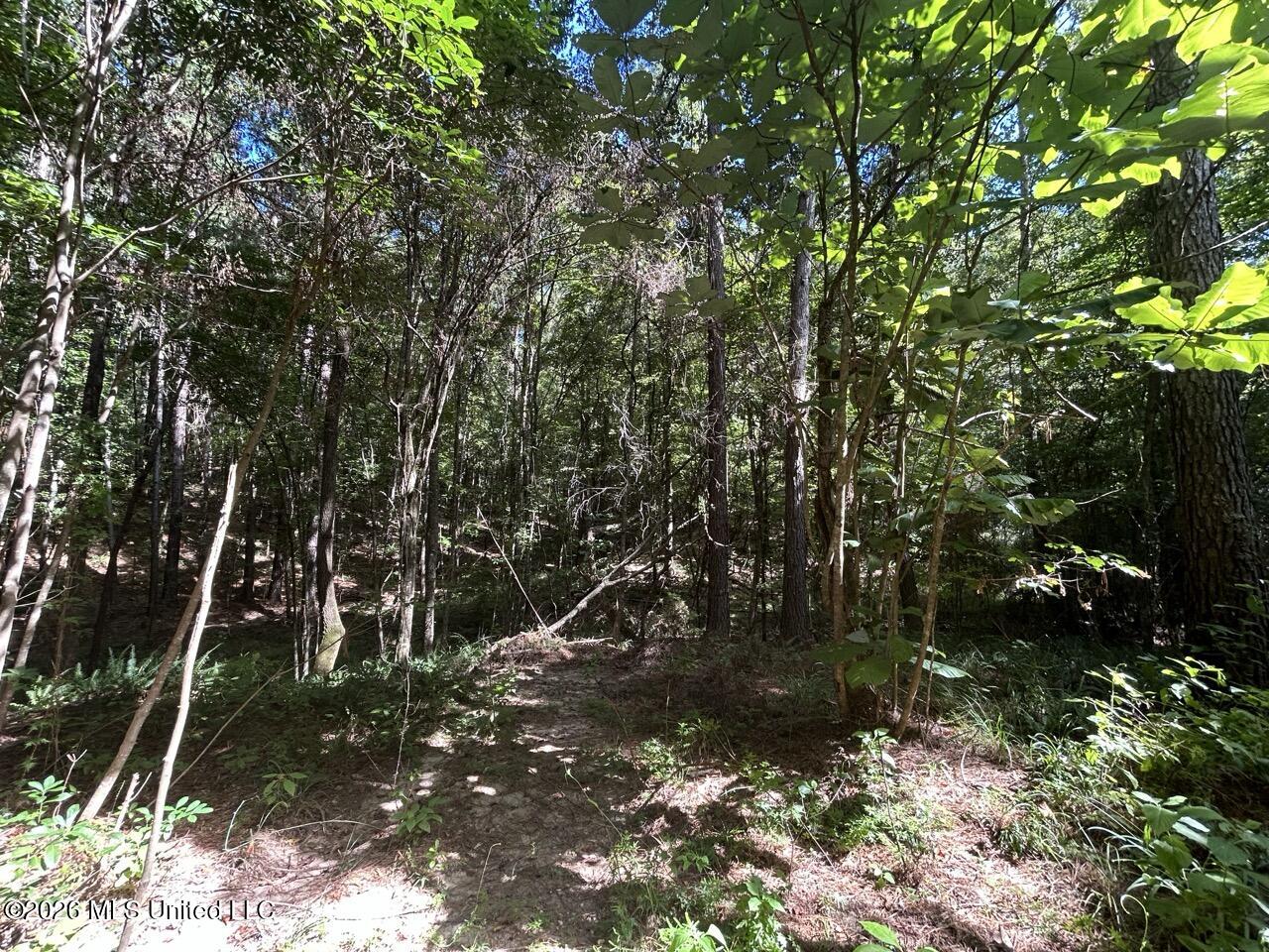 1669 Burt Jordan Road Property Photo 37