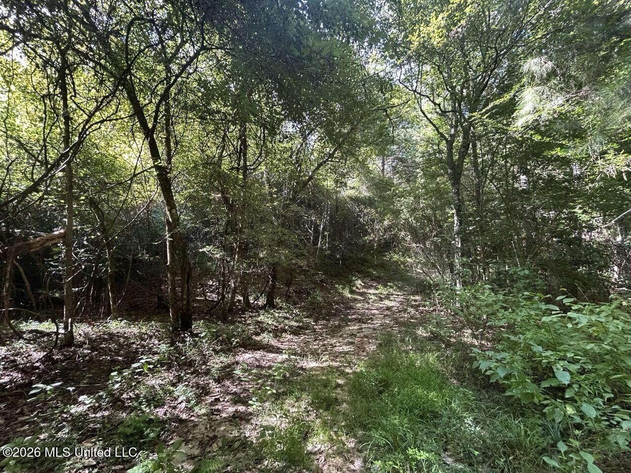 1669 Burt Jordan Road Property Photo 38