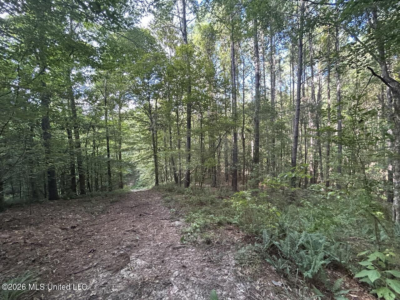 1669 Burt Jordan Road Property Photo 39
