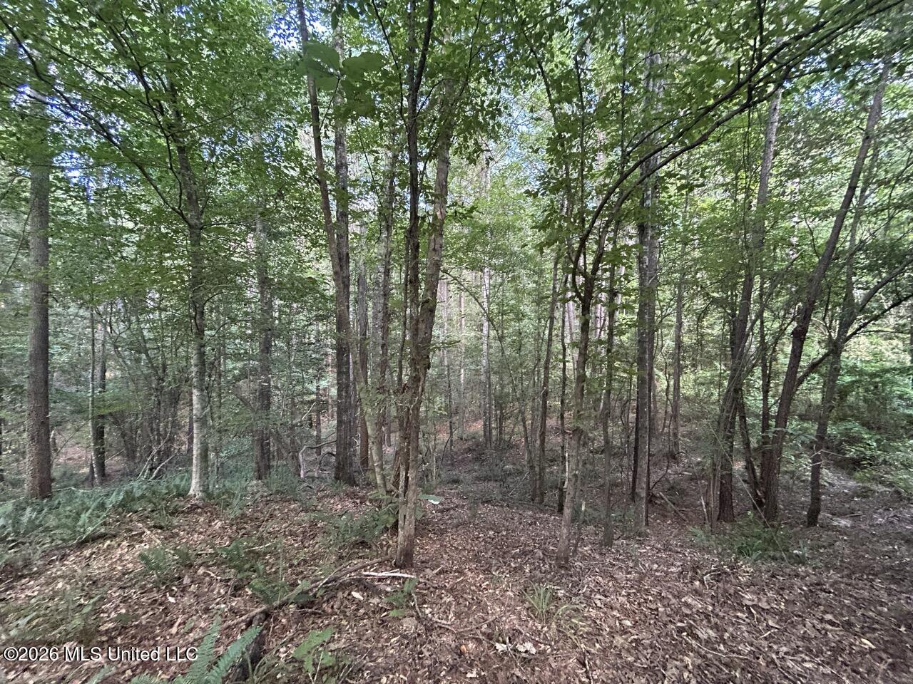 1669 Burt Jordan Road Property Photo 40