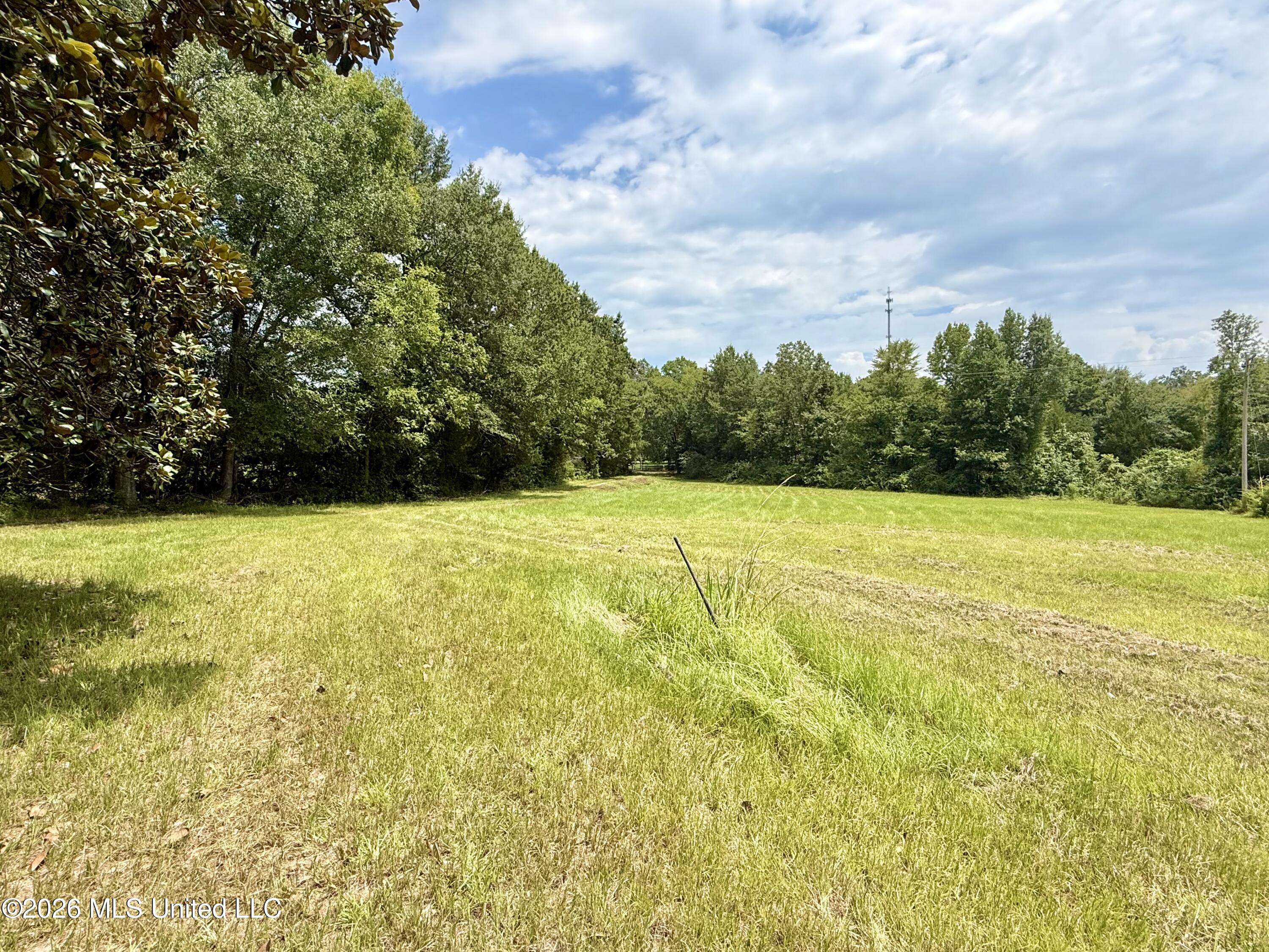 2157 Rhymes Road Property Photo 6